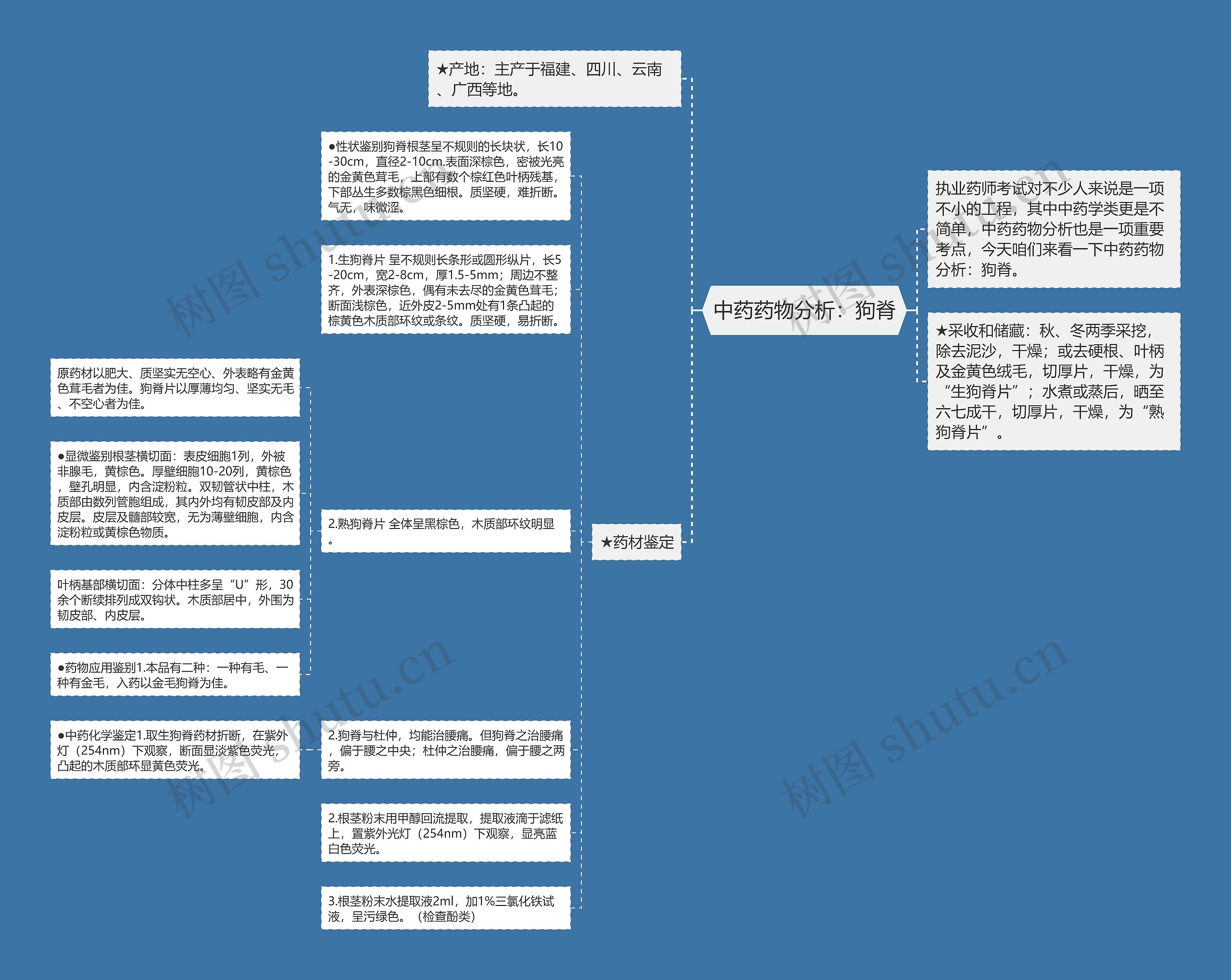 中药药物分析：狗脊思维导图