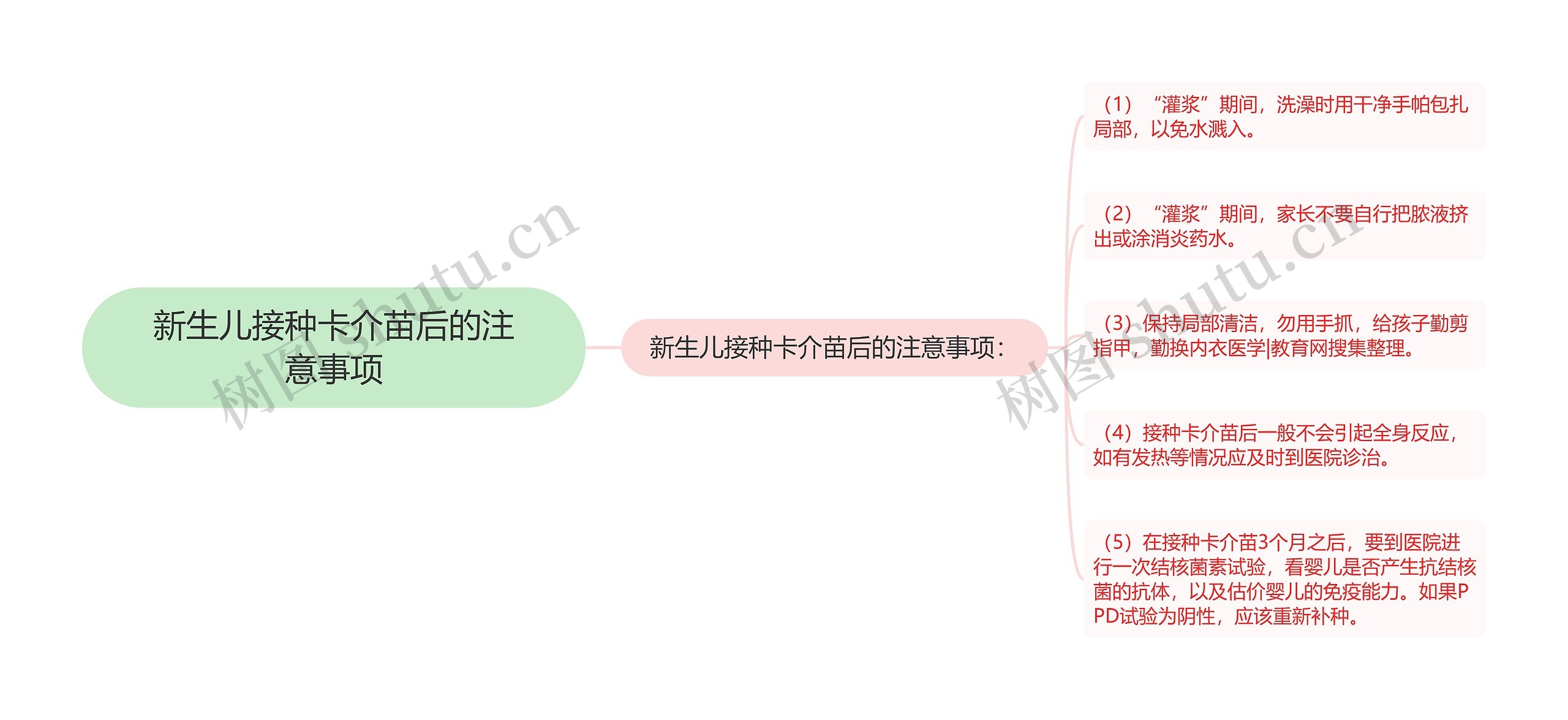 新生儿接种卡介苗后的注意事项思维导图