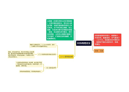 矽肺病理改变