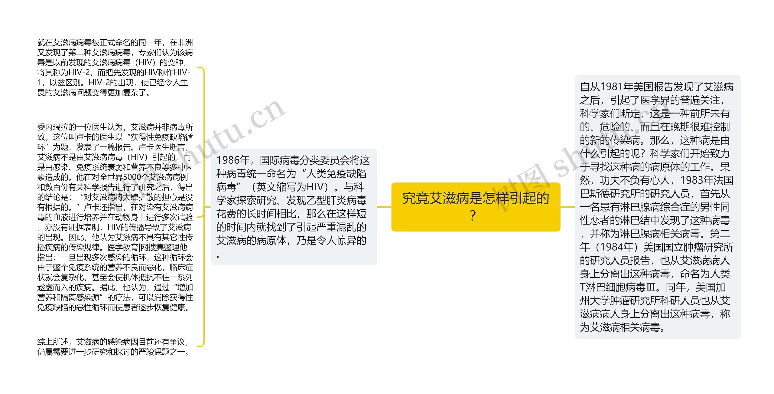 究竟艾滋病是怎样引起的？思维导图