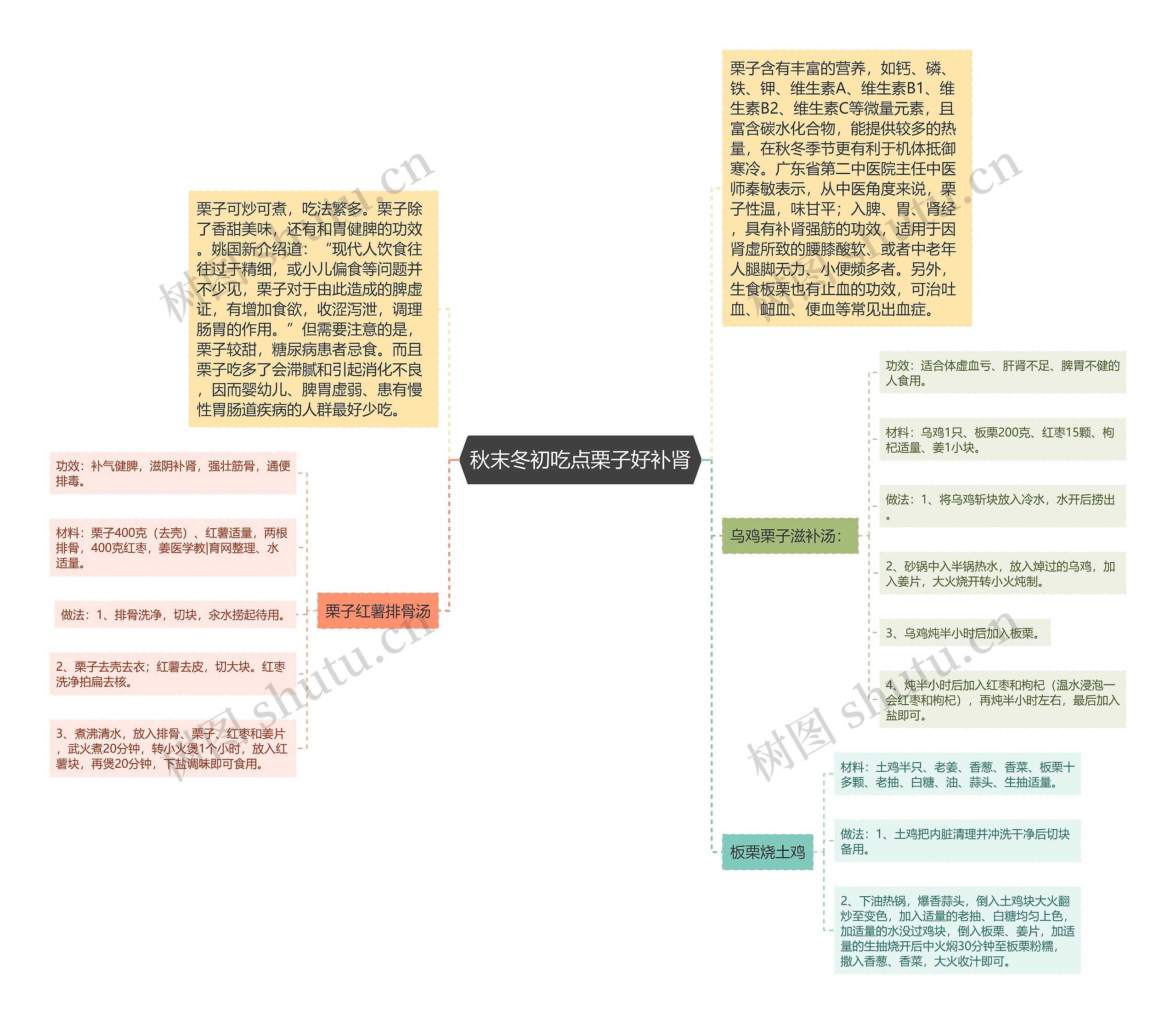 秋末冬初吃点栗子好补肾思维导图