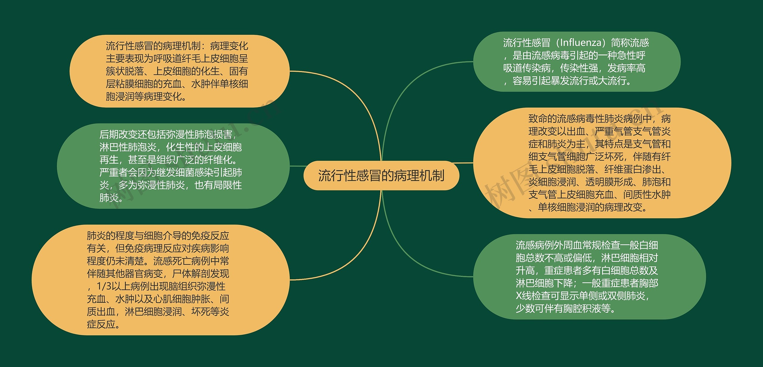 流行性感冒的病理机制思维导图