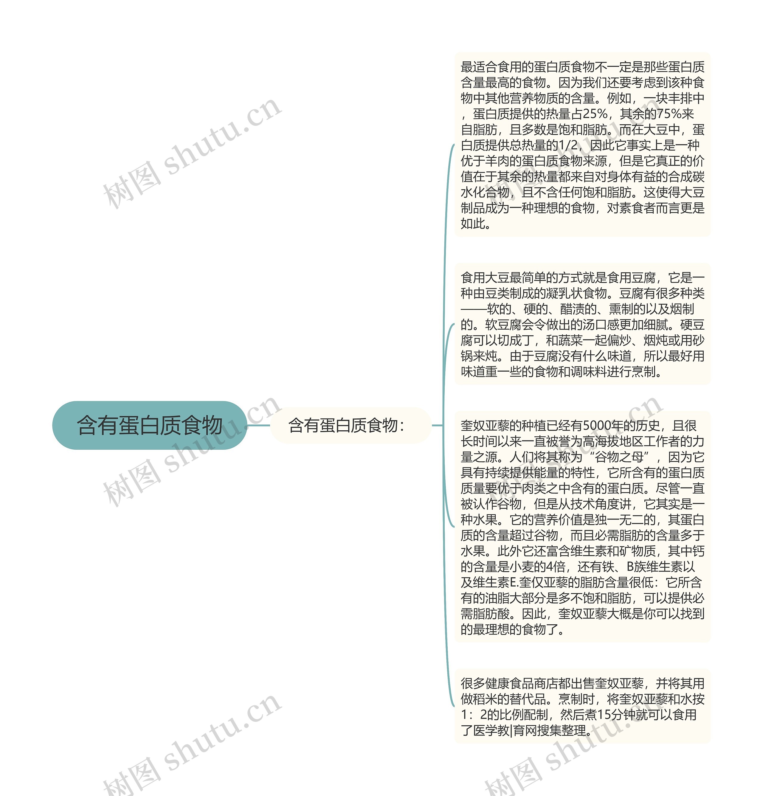 含有蛋白质食物思维导图