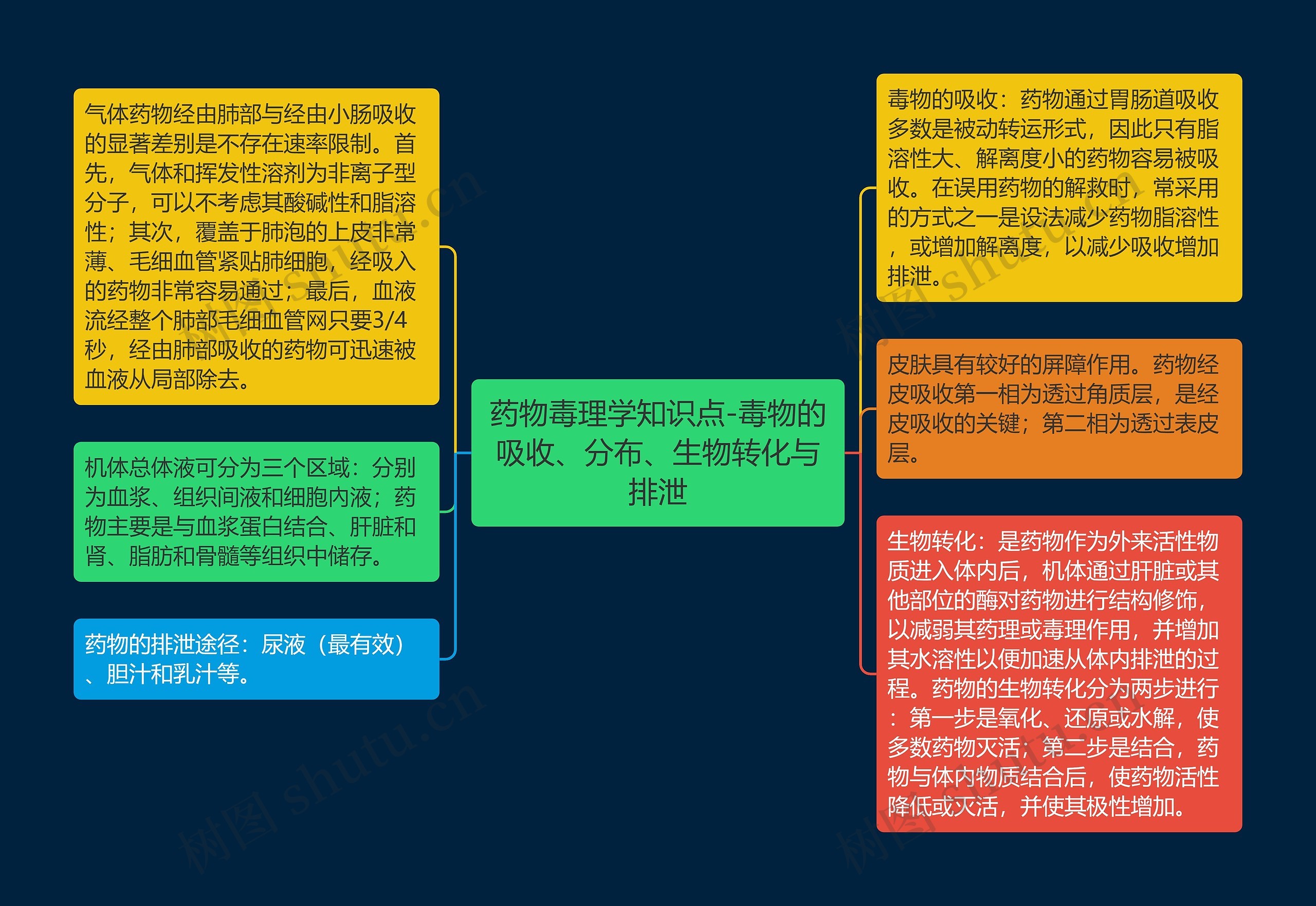 药物毒理学知识点-毒物的吸收、分布、生物转化与排泄思维导图