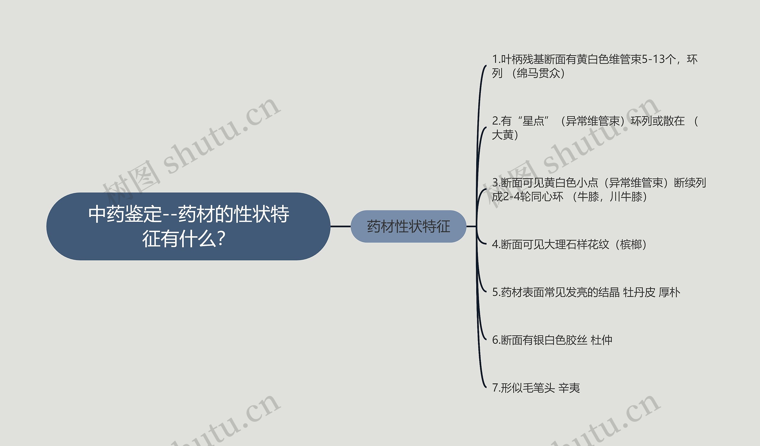 中药鉴定--药材的性状特征有什么？