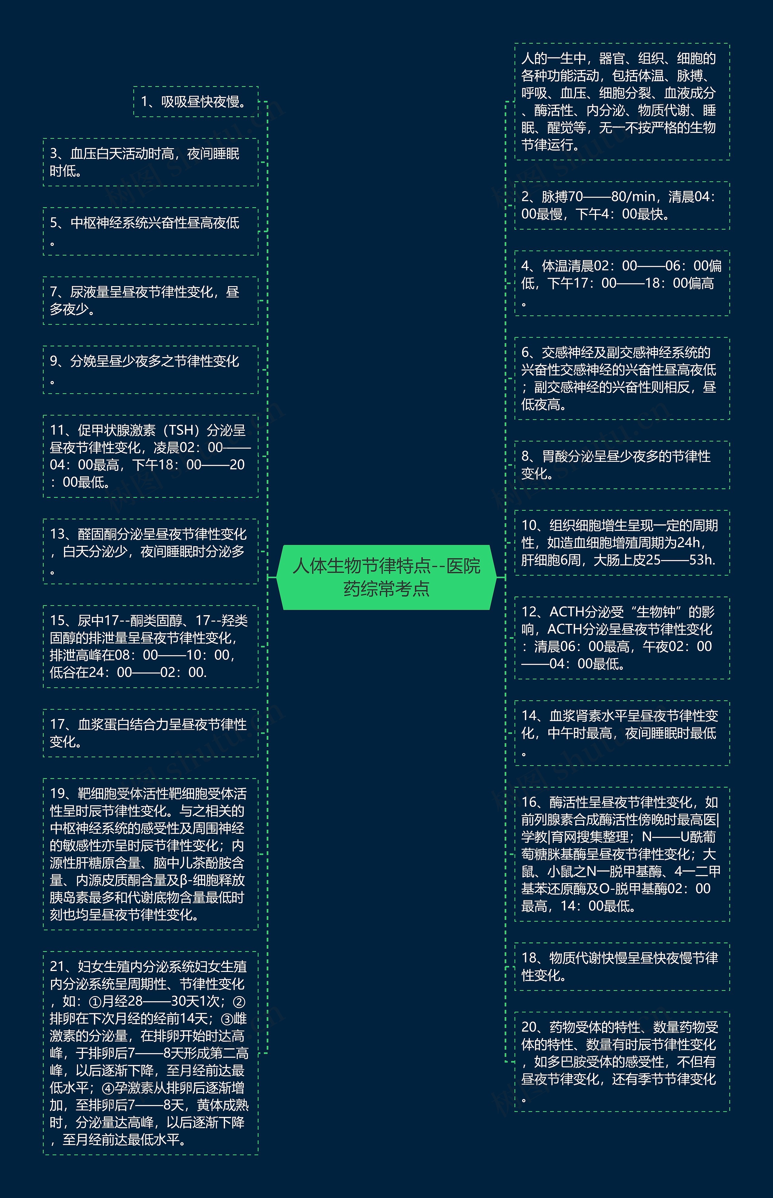 ​人体生物节律特点--医院药综常考点思维导图