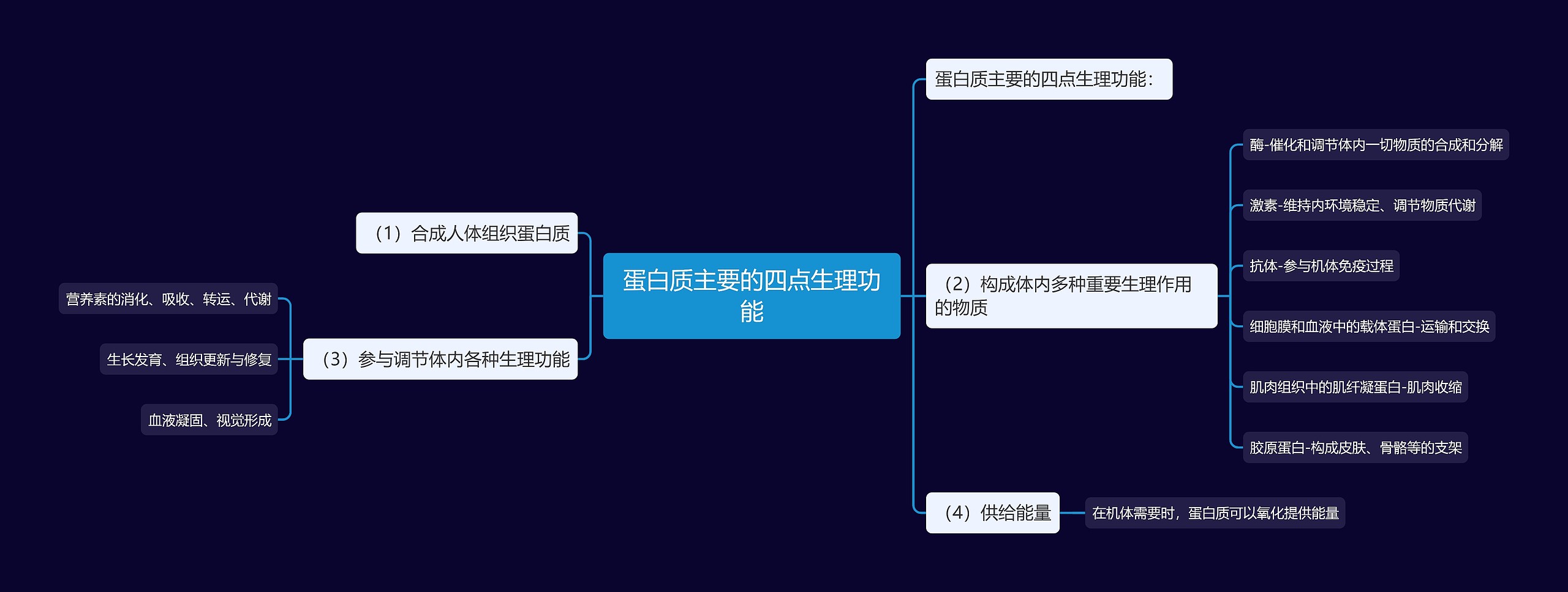 蛋白质主要的四点生理功能思维导图