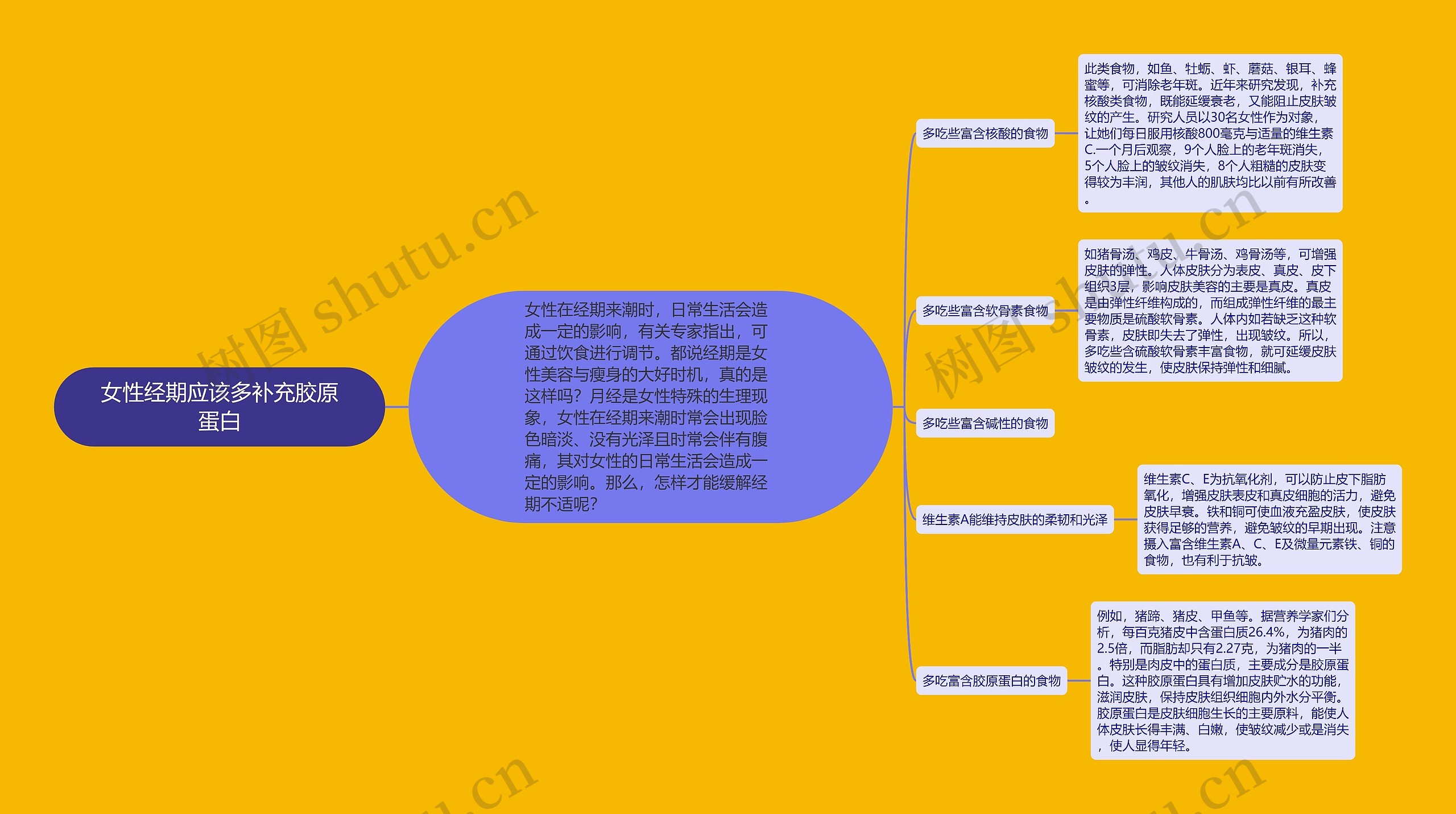 女性经期应该多补充胶原蛋白思维导图