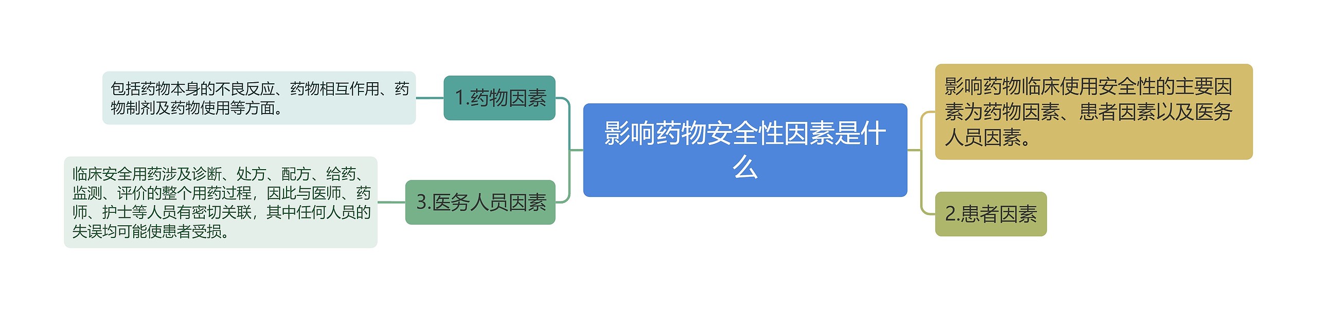 影响药物安全性因素是什么思维导图