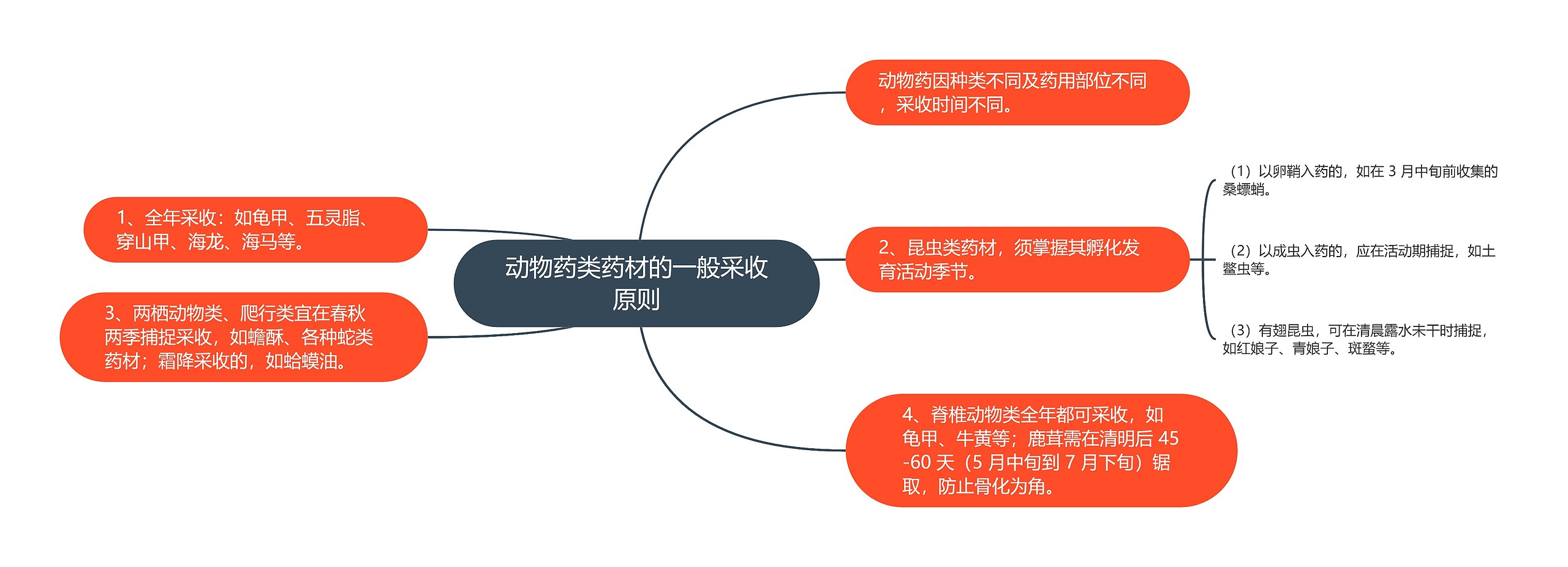 动物药类药材的一般采收原则思维导图