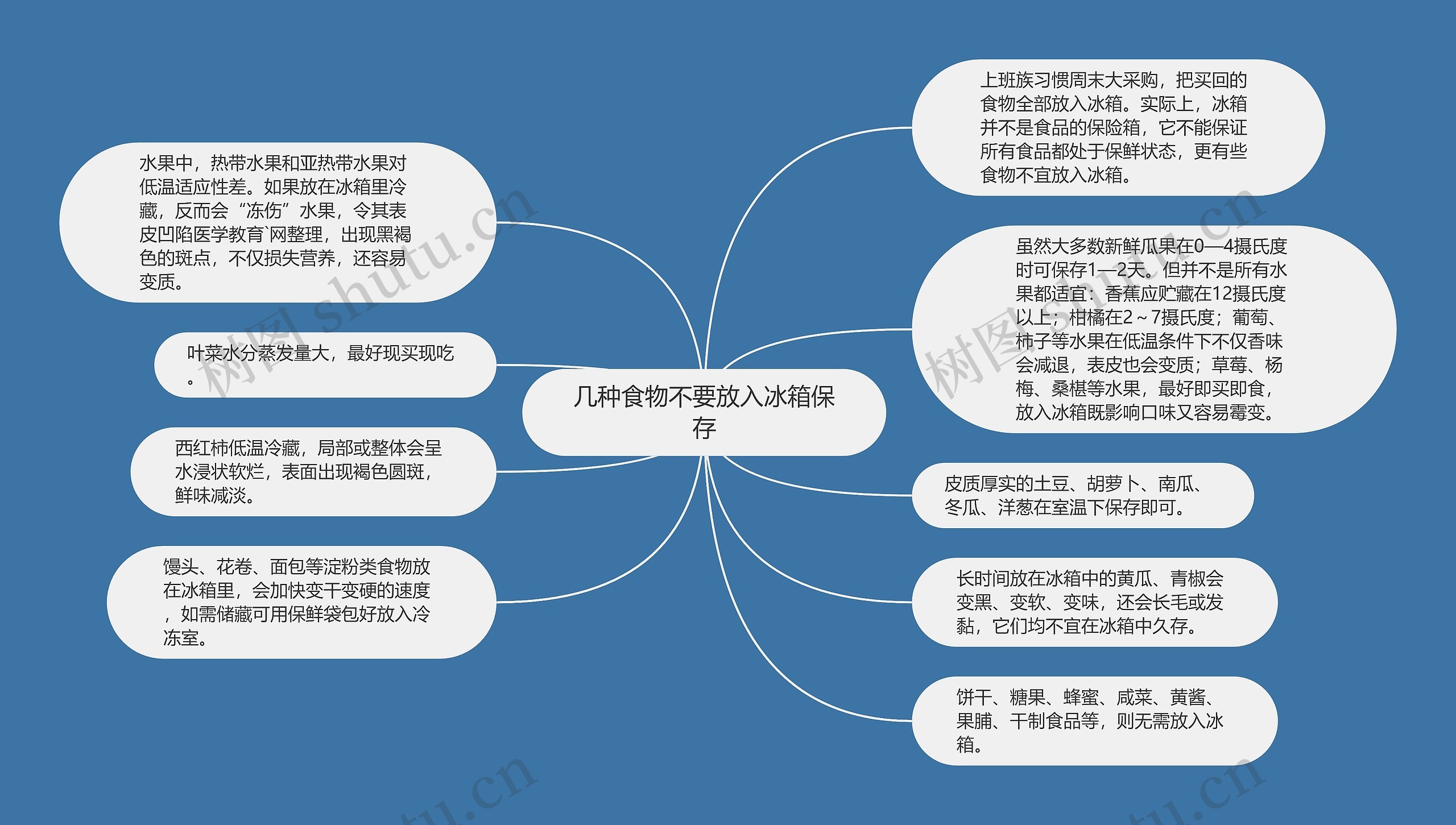 几种食物不要放入冰箱保存思维导图