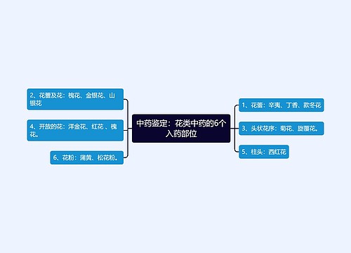 中药鉴定：花类中药的6个入药部位