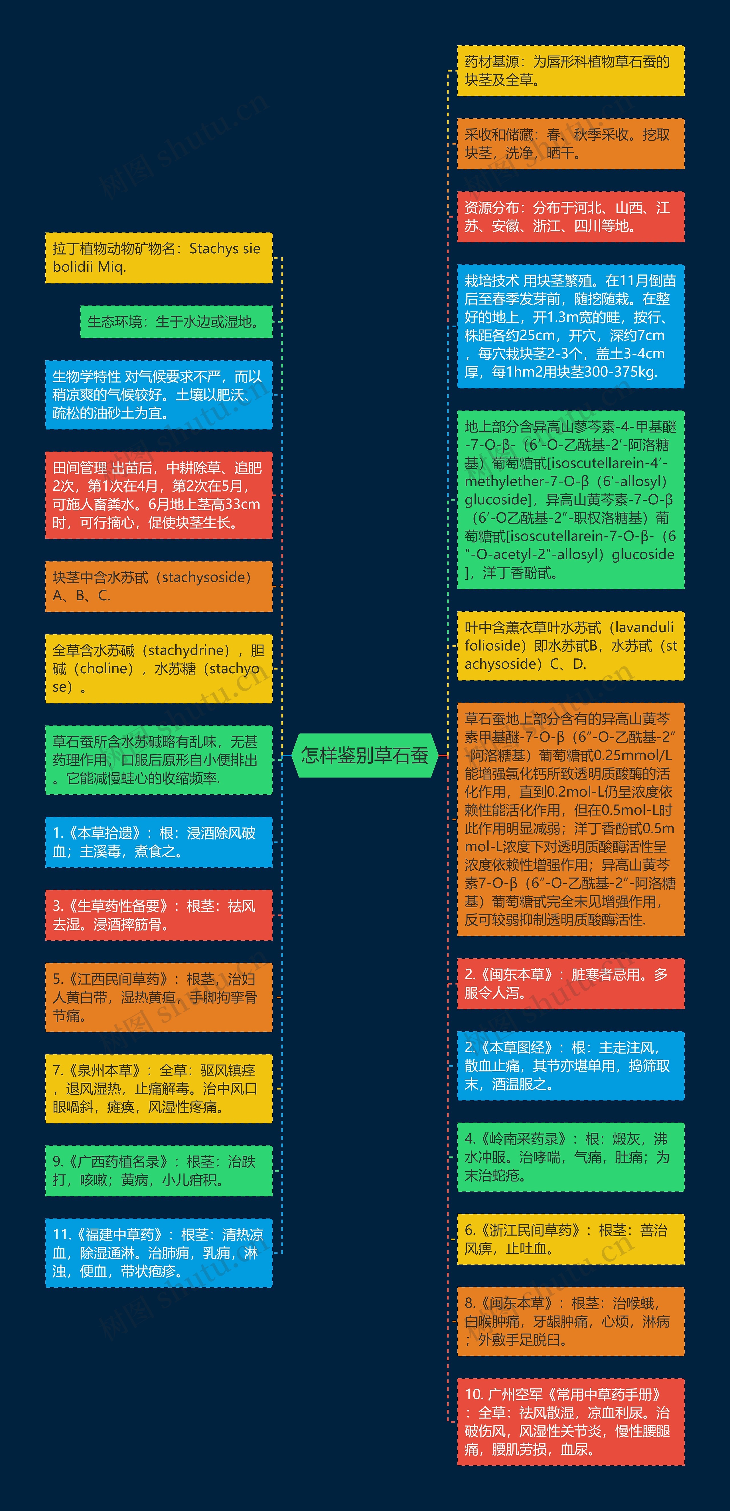 怎样鉴别草石蚕