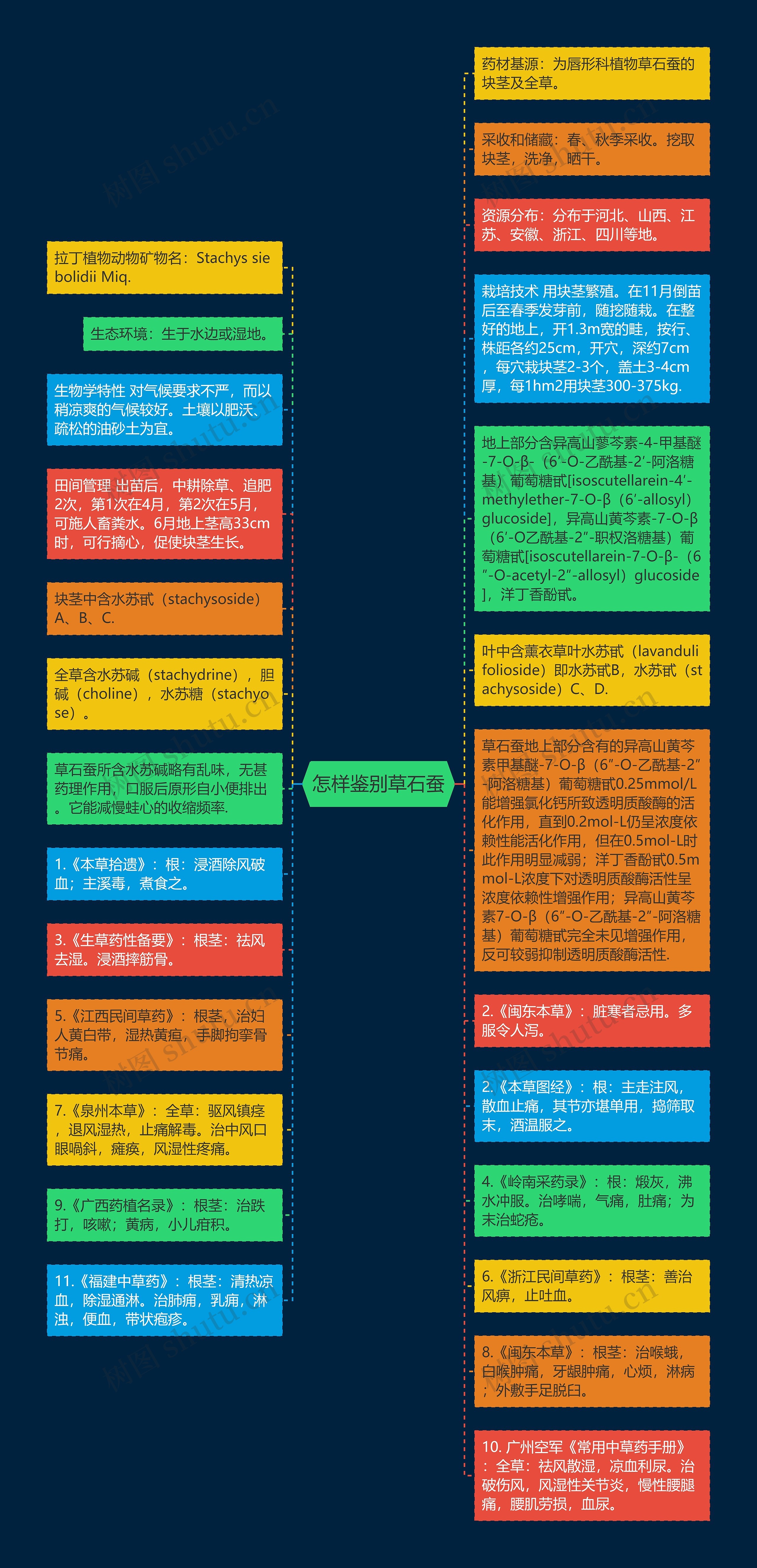 怎样鉴别草石蚕思维导图