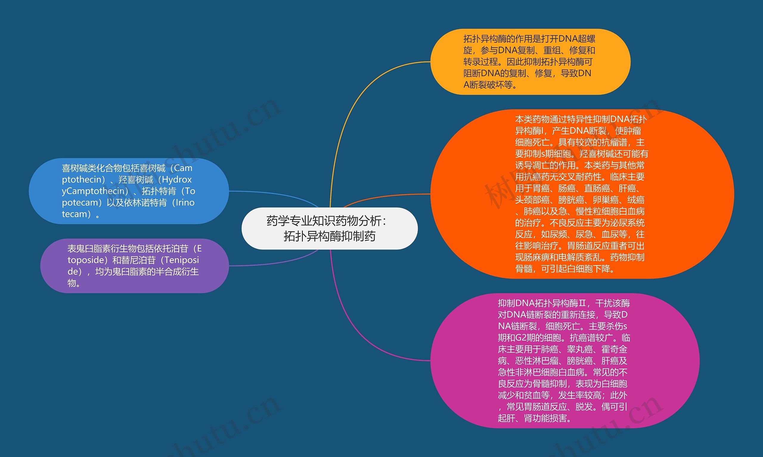 药学专业知识药物分析：拓扑异构酶抑制药