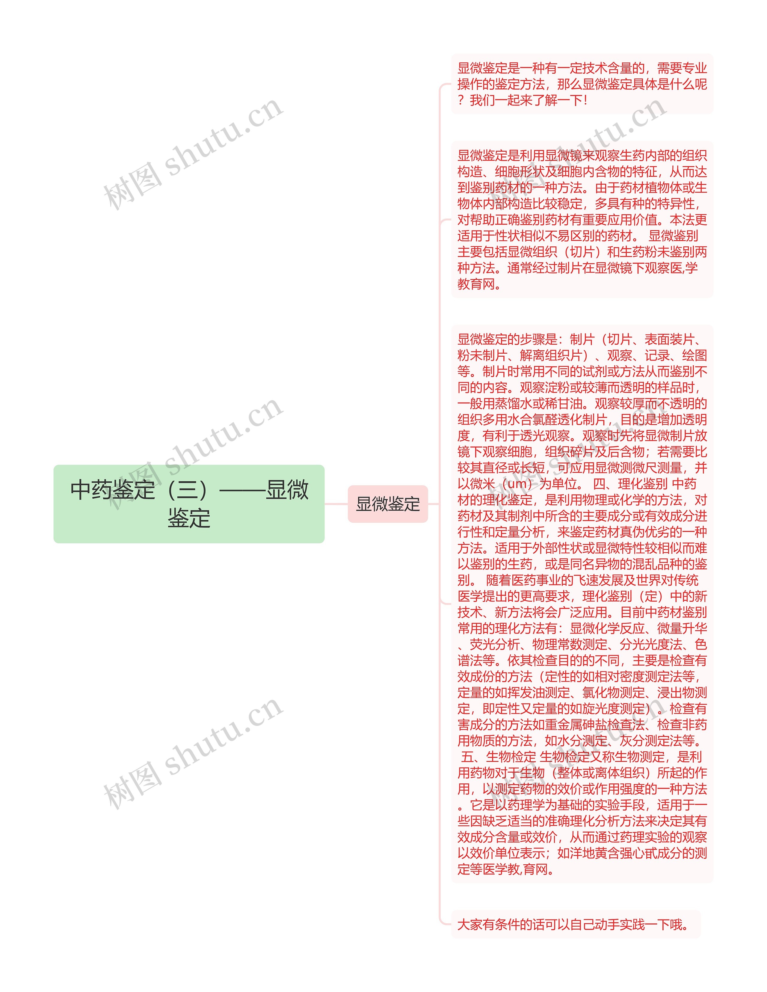 中药鉴定（三）——显微鉴定