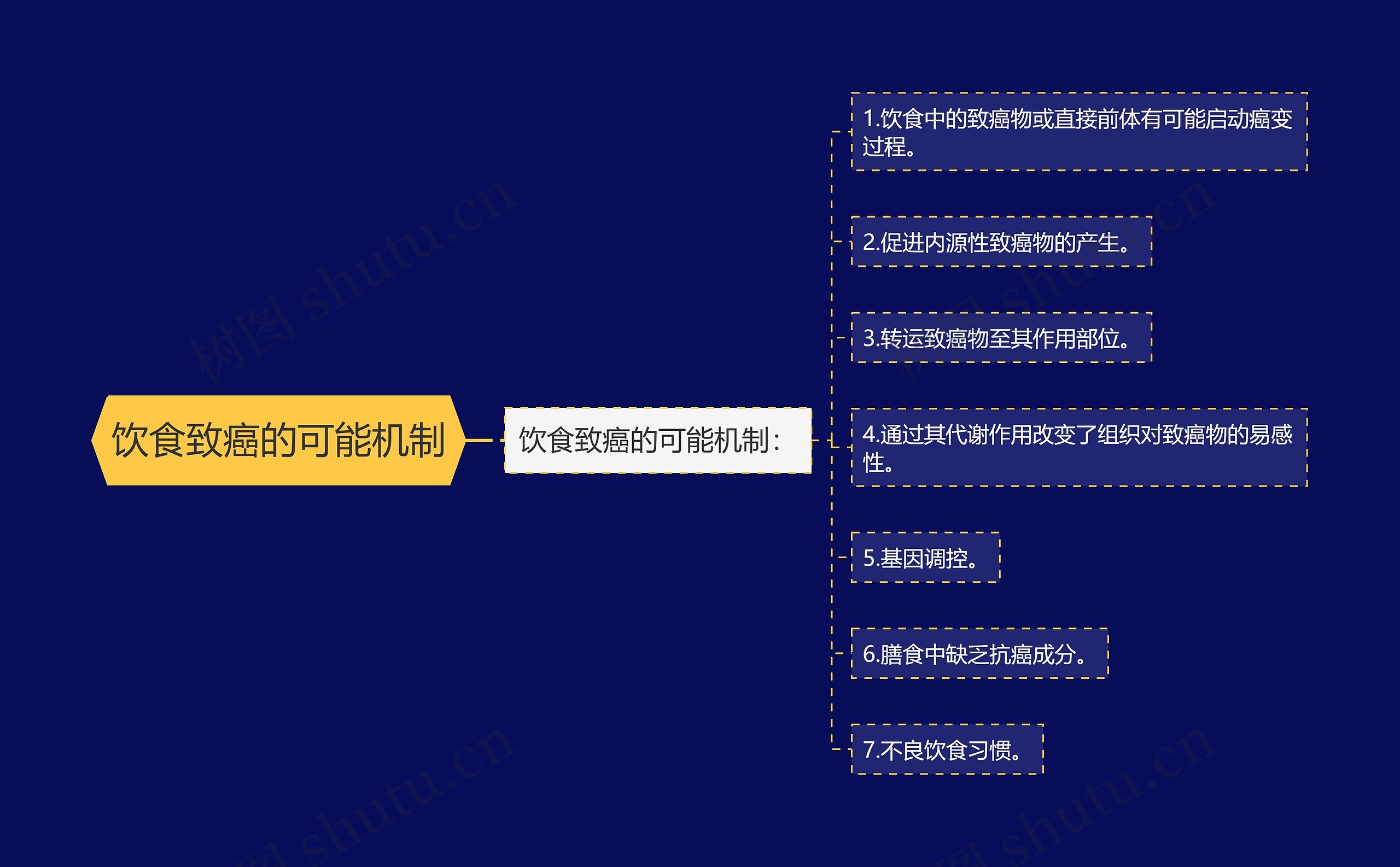 饮食致癌的可能机制思维导图