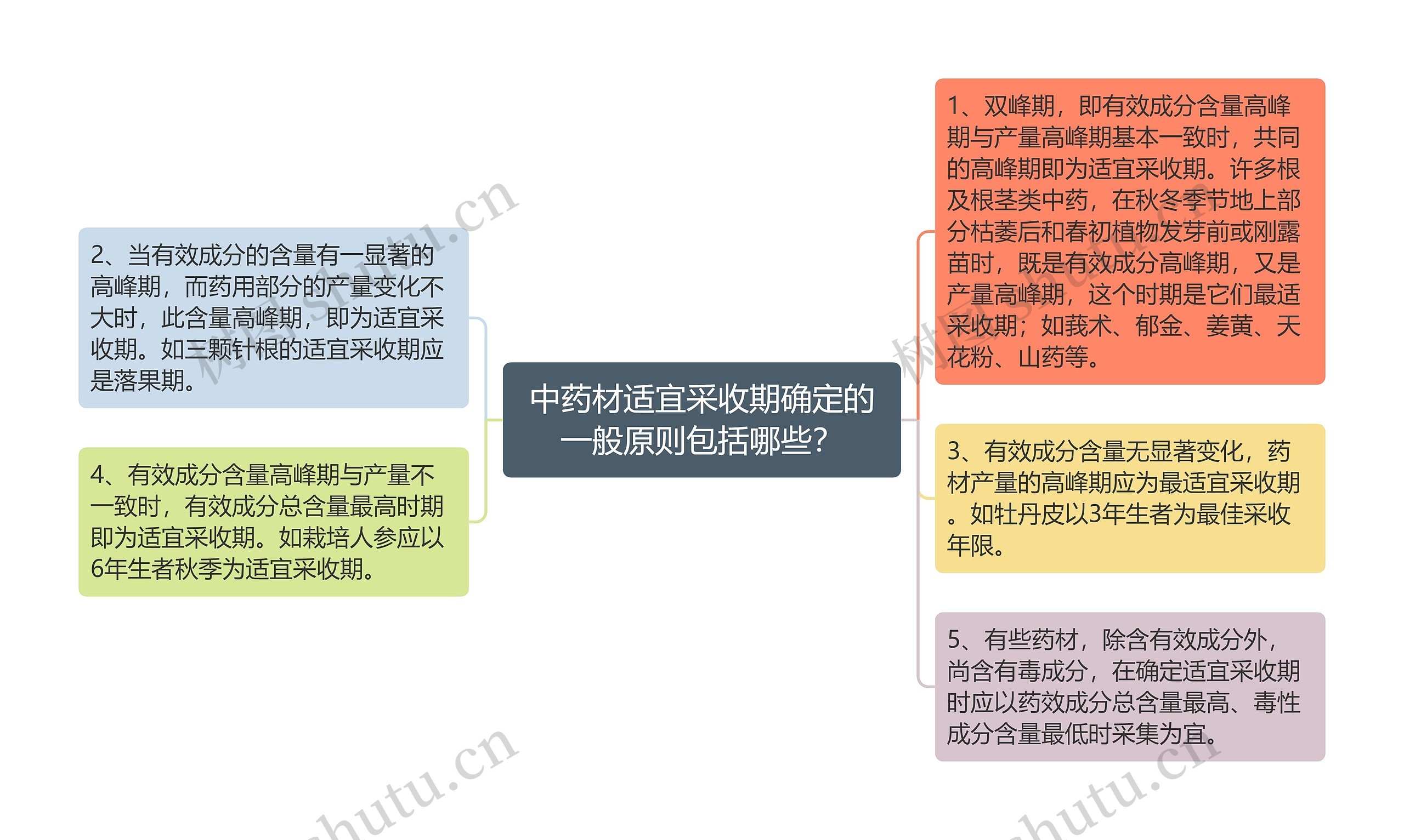 中药材适宜采收期确定的一般原则包括哪些？思维导图