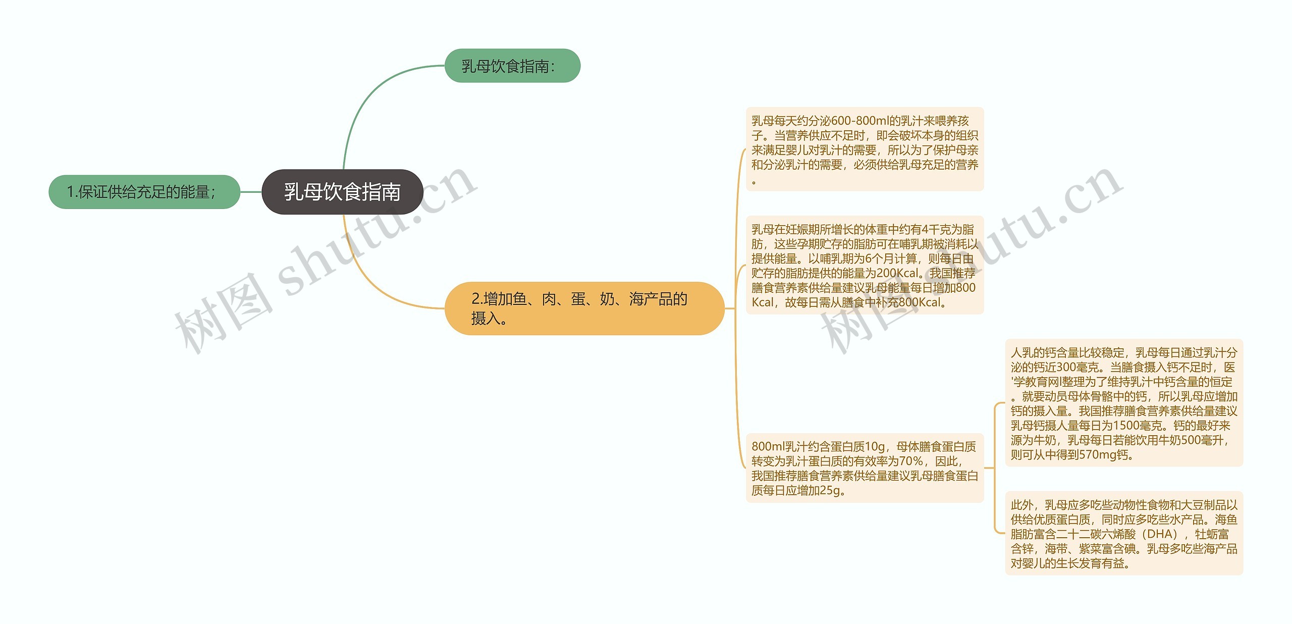 乳母饮食指南思维导图