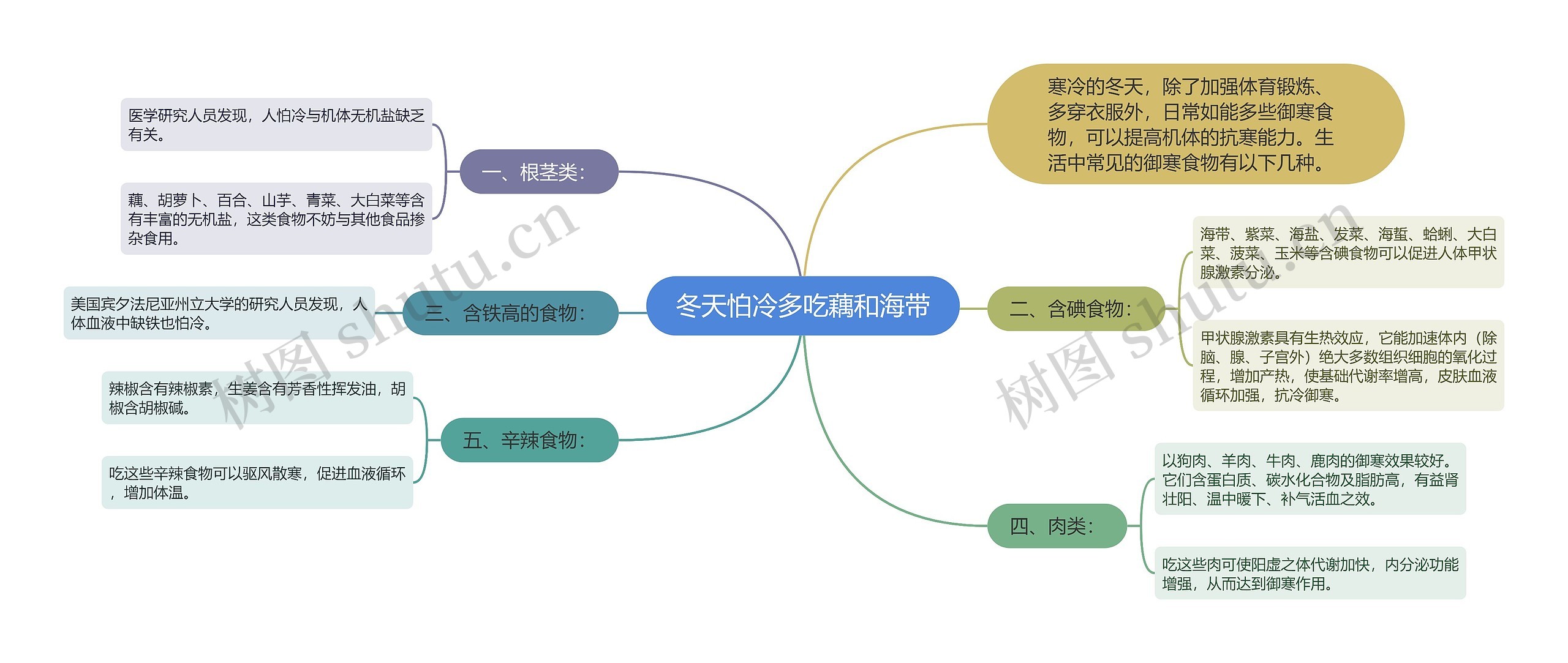 冬天怕冷多吃藕和海带思维导图