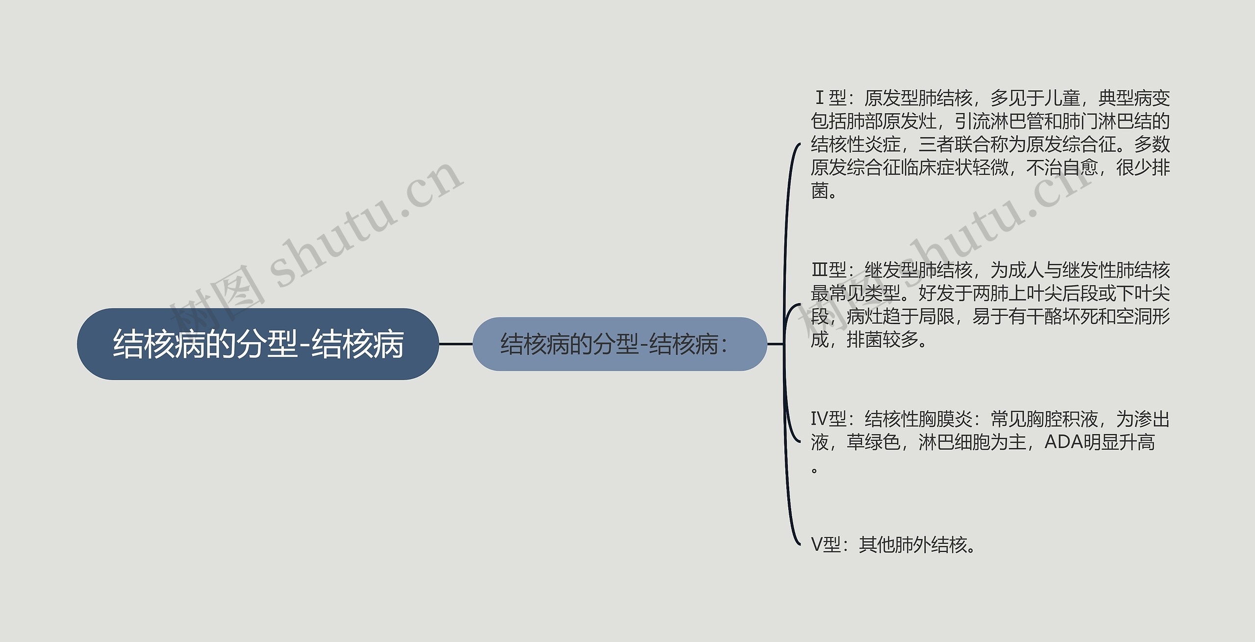 结核病的分型-结核病