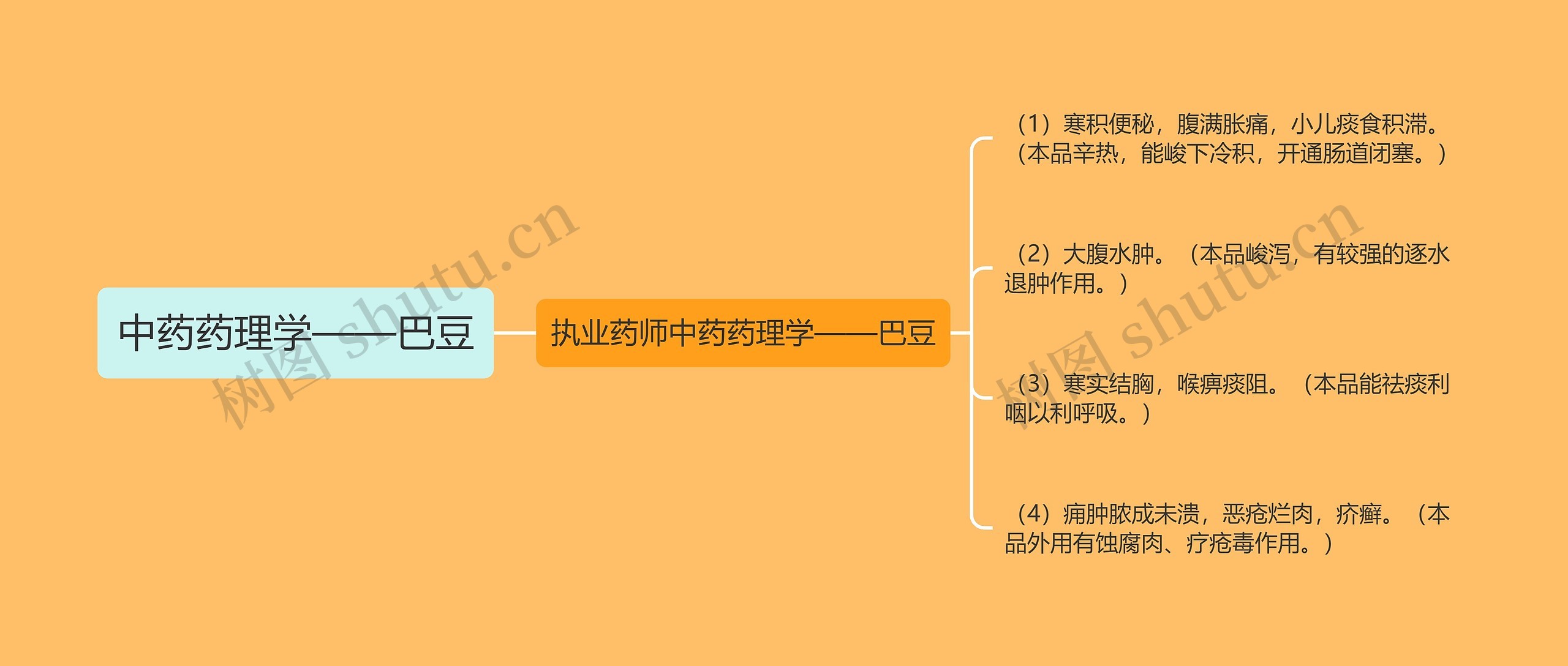 中药药理学——巴豆思维导图