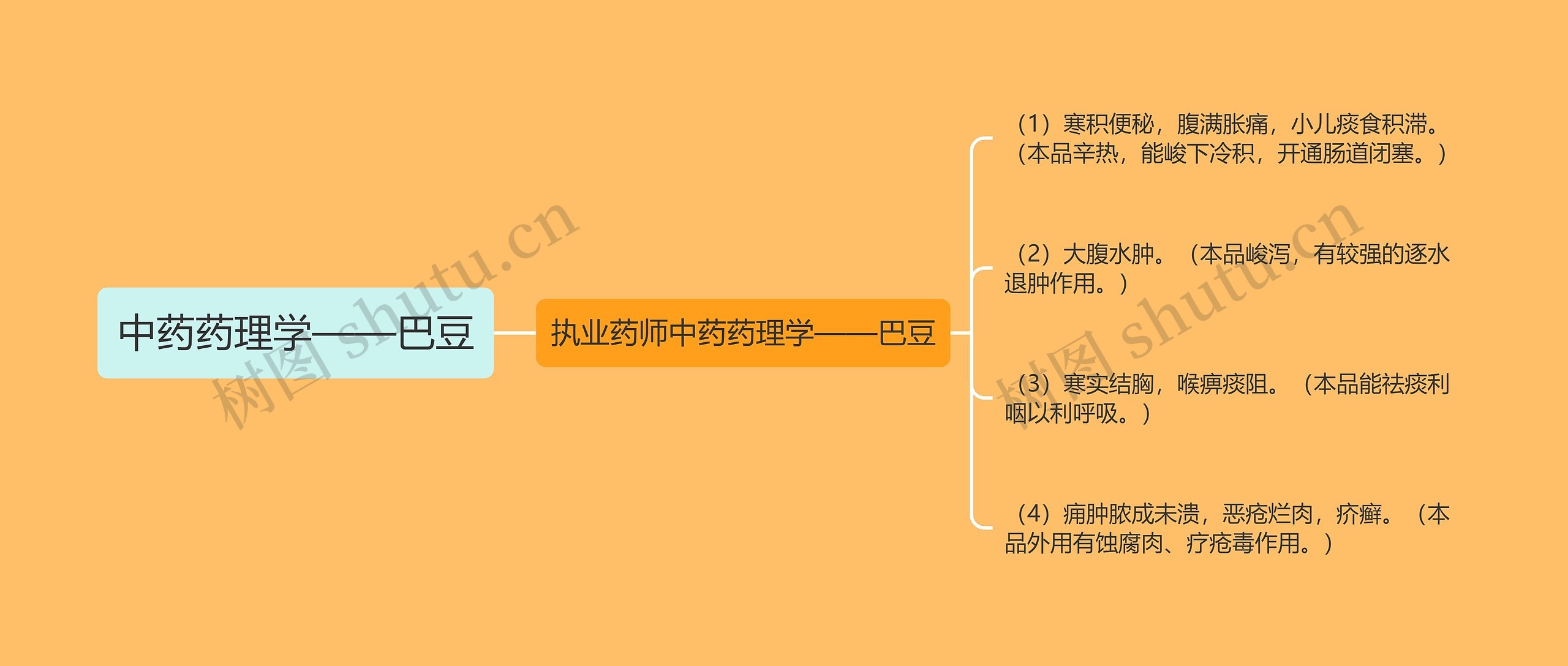 中药药理学——巴豆 中药药理学——巴豆