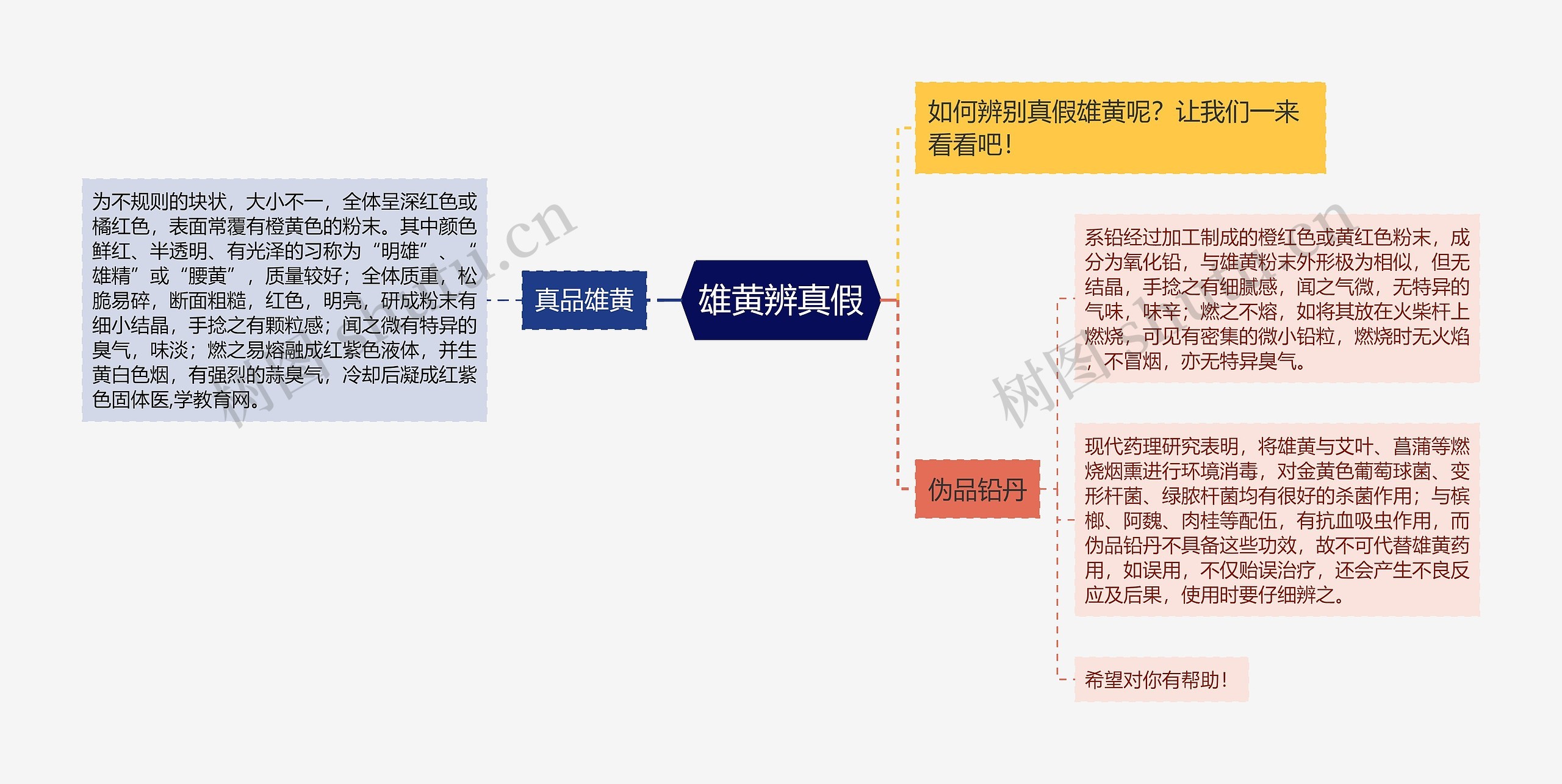 雄黄辨真假思维导图