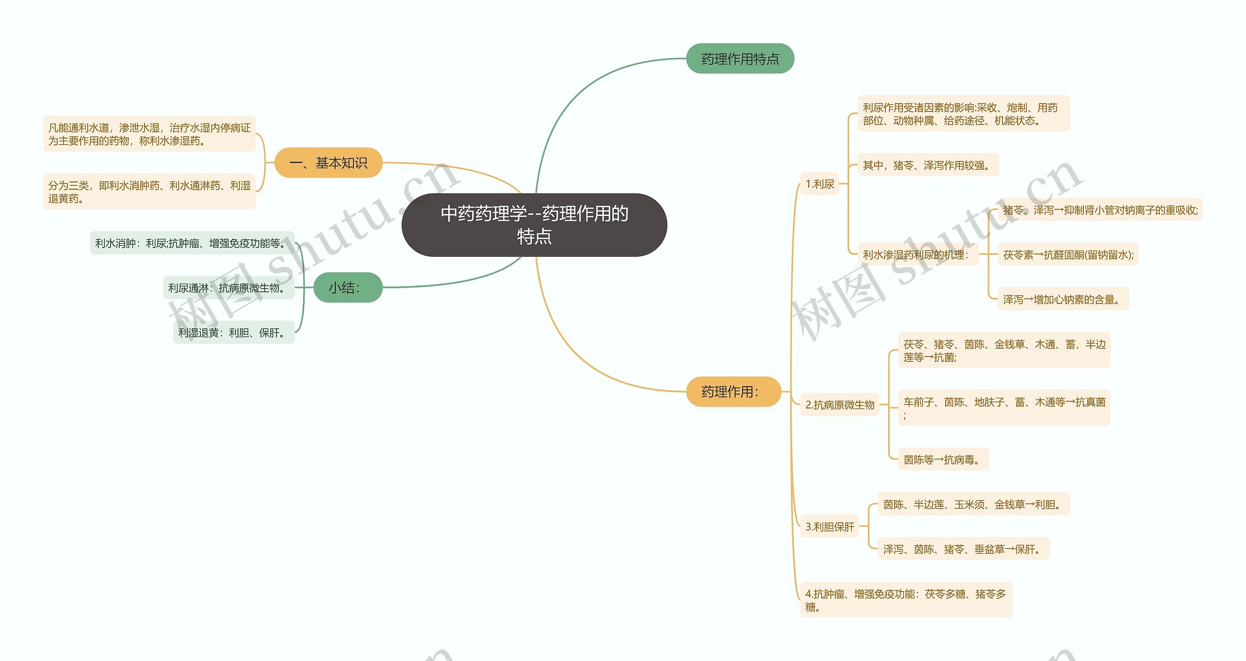 中药药理学--药理作用的特点思维导图