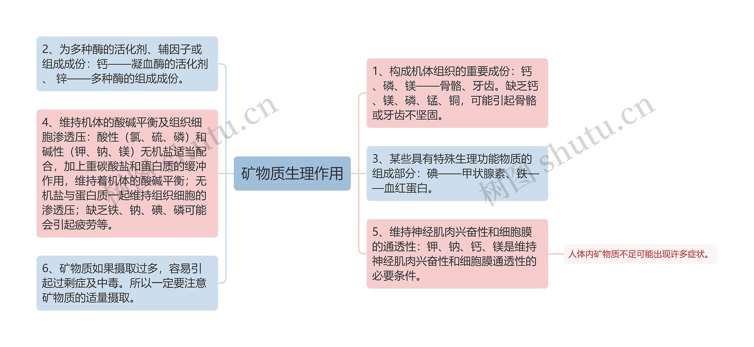 矿物质生理作用思维导图