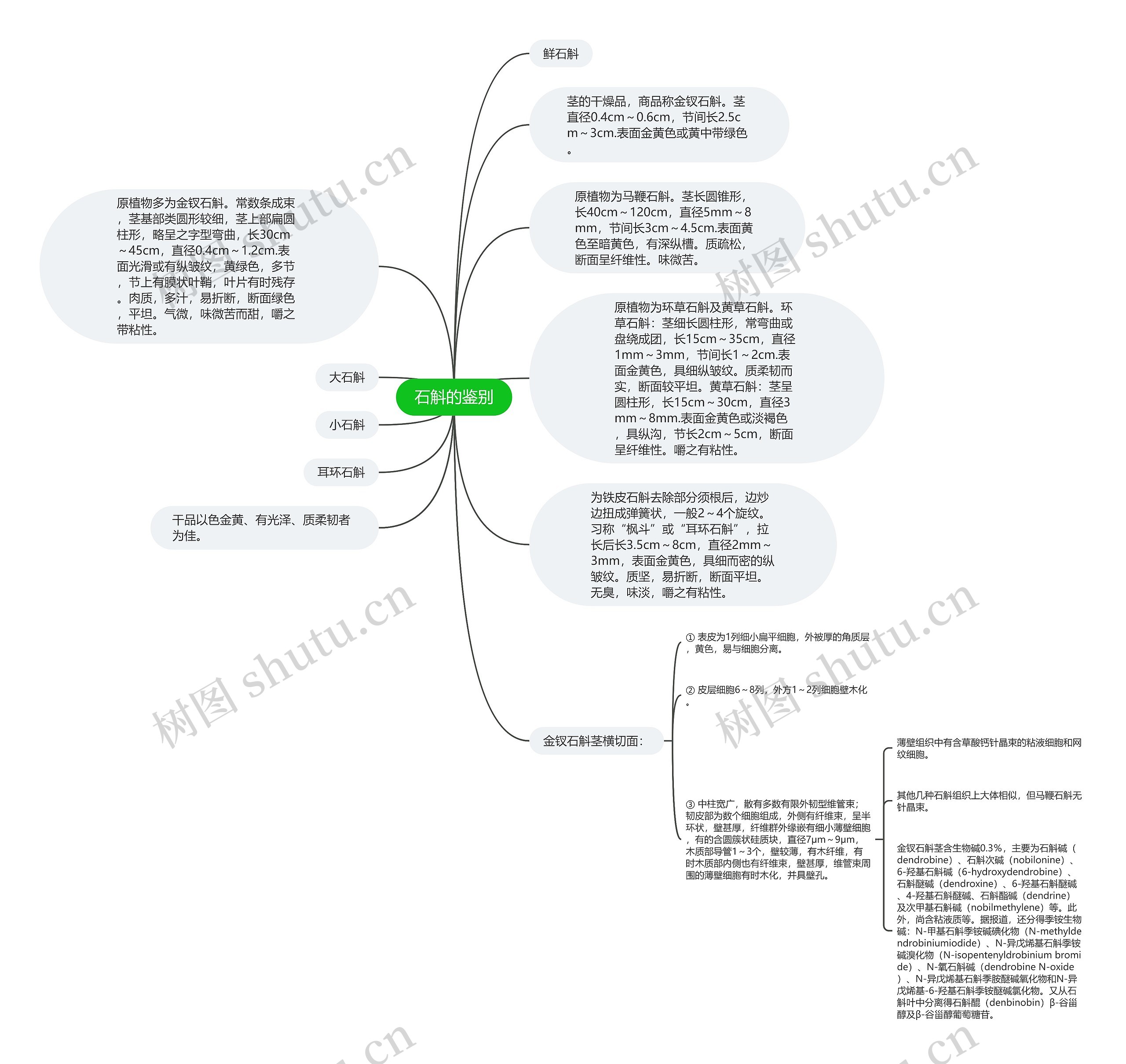 石斛的鉴别思维导图