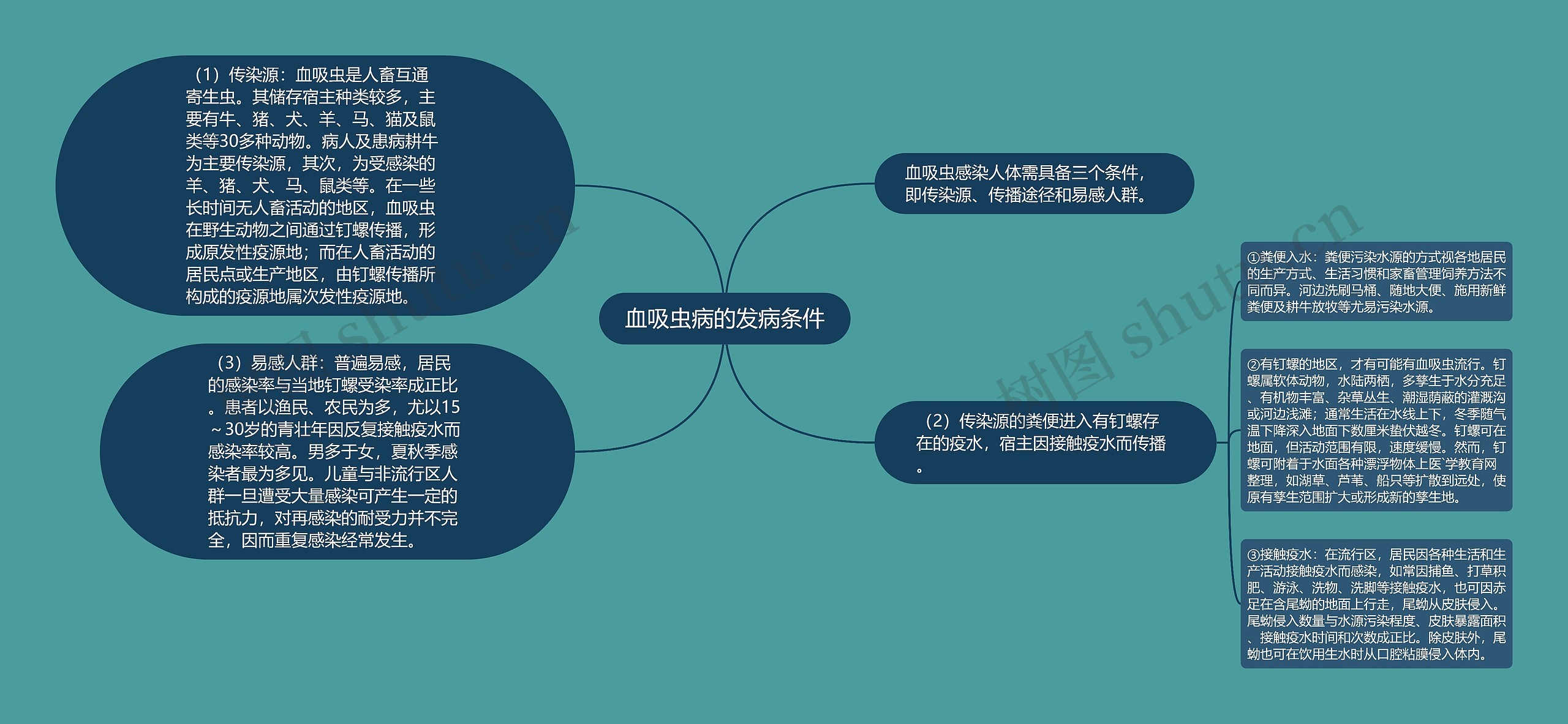 血吸虫病的发病条件思维导图