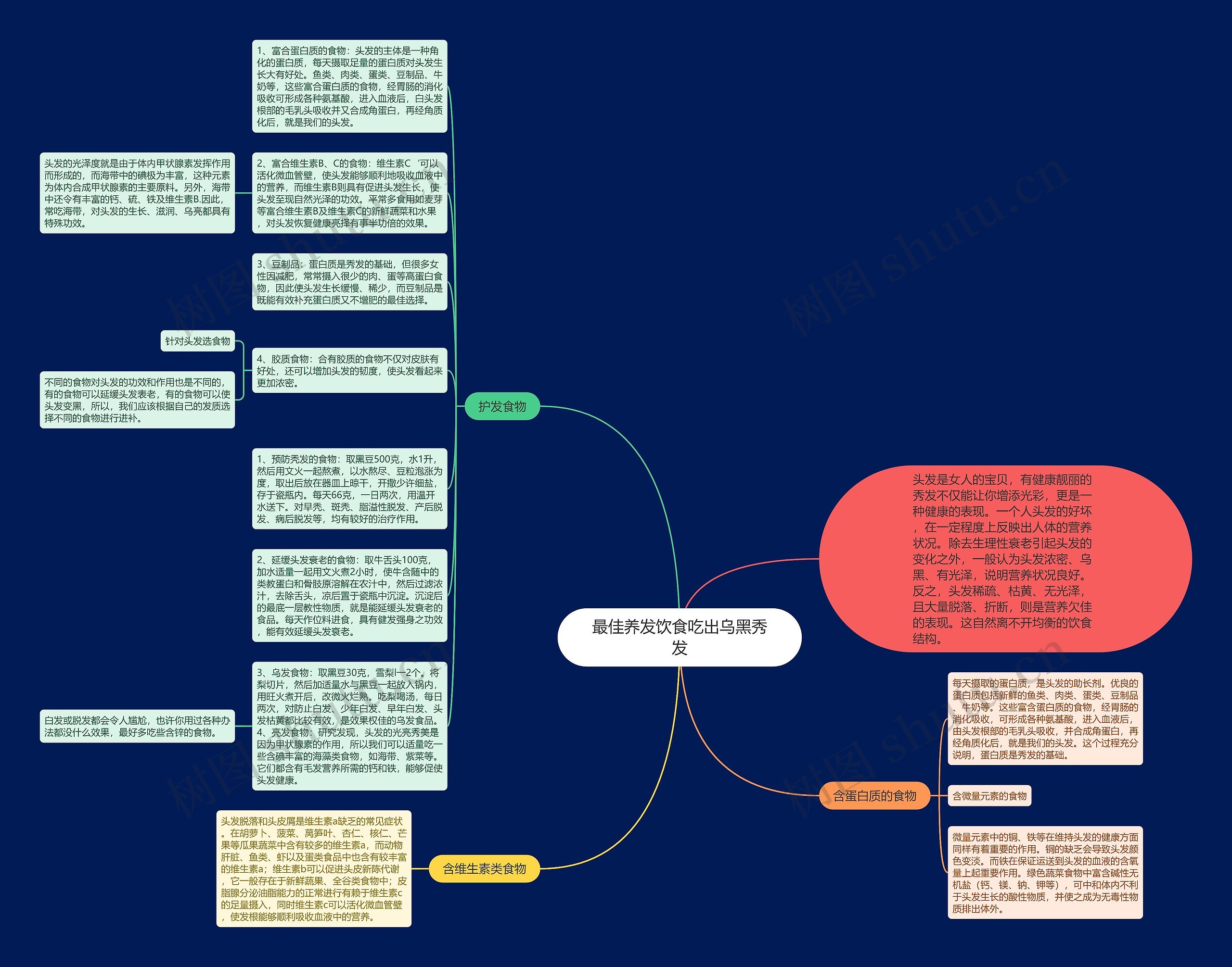 最佳养发饮食吃出乌黑秀发思维导图