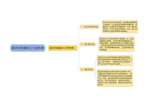 身体所需要的三大营养素