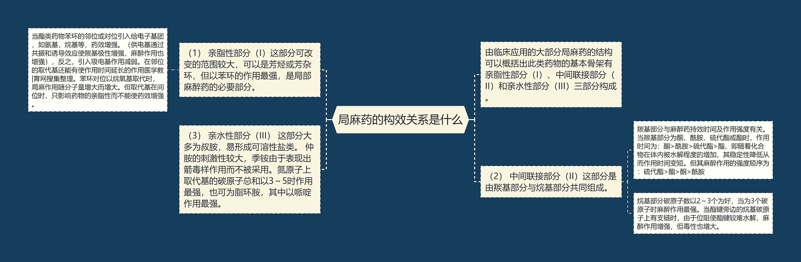 局麻药的构效关系是什么