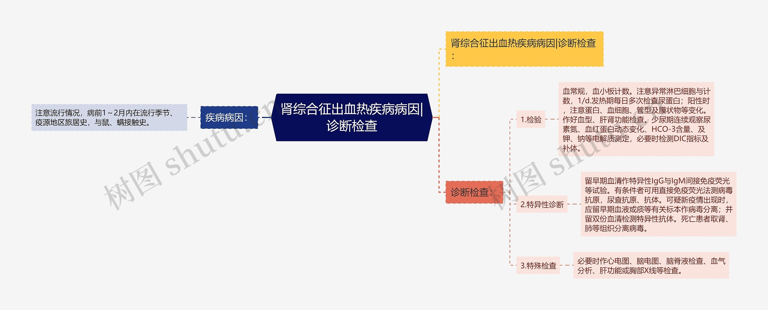 肾综合征出血热疾病病因|诊断检查思维导图