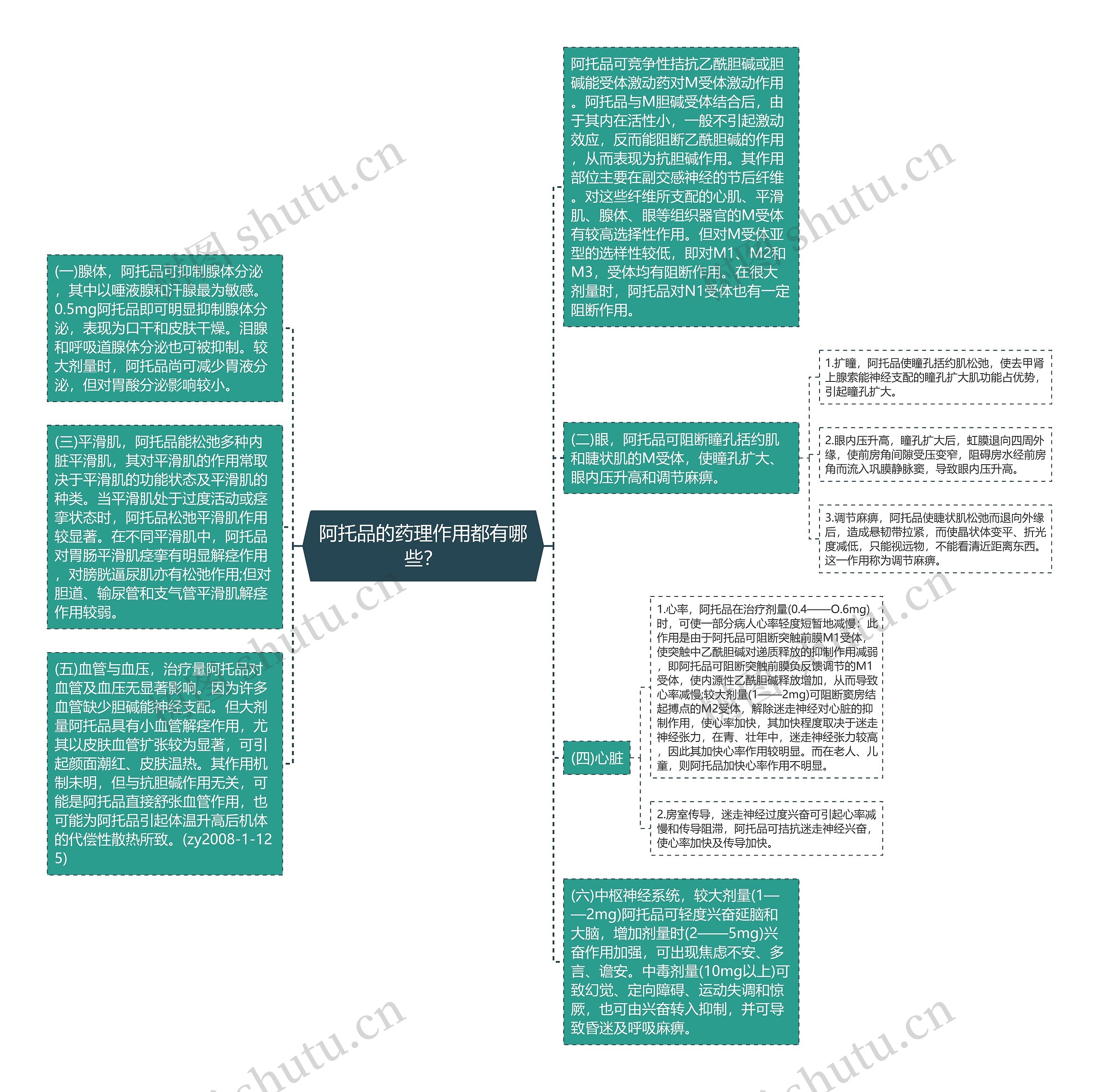 阿托品的药理作用都有哪些？思维导图