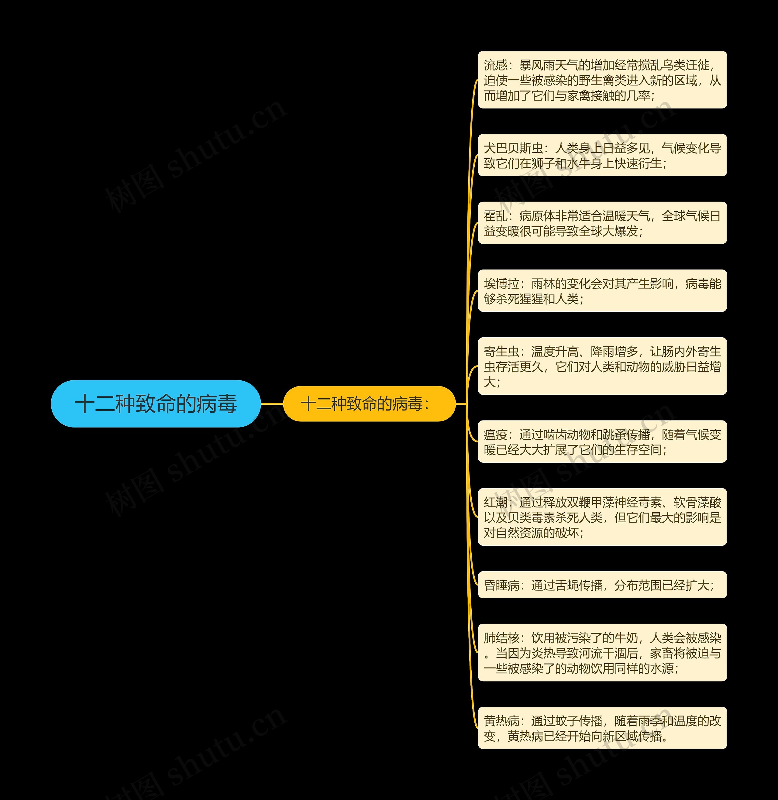 十二种致命的病毒思维导图