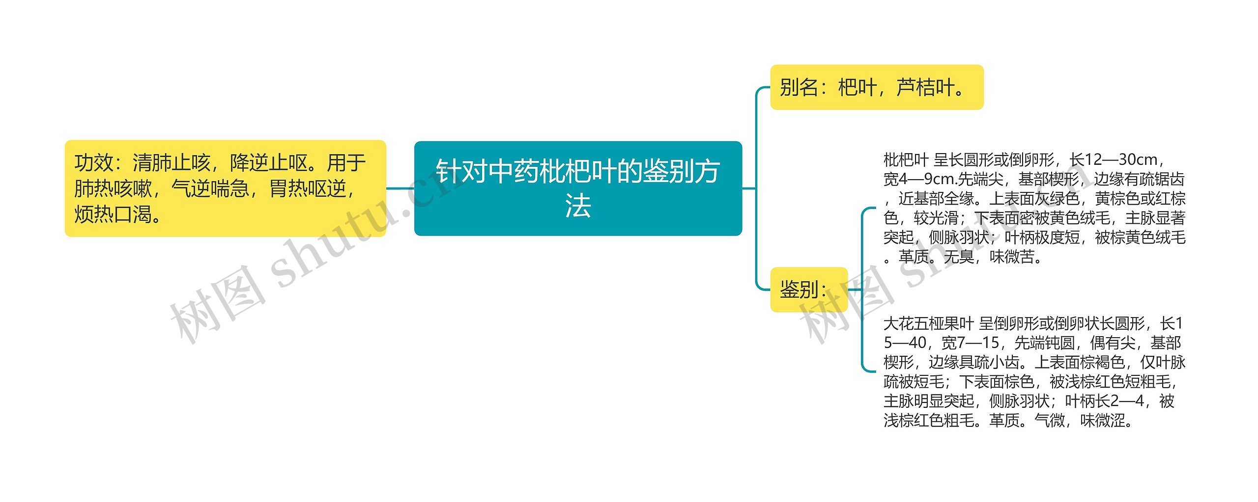 针对中药枇杷叶的鉴别方法 针对中药枇杷叶的鉴别方法