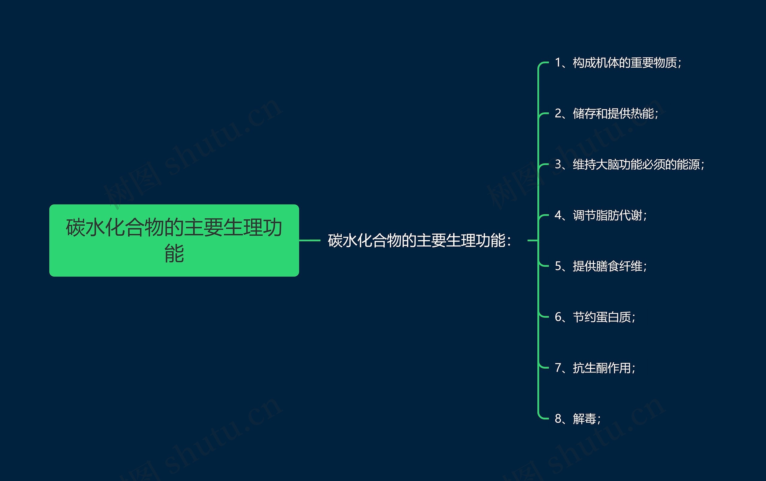 碳水化合物的主要生理功能 碳水化合物的主要生理功能