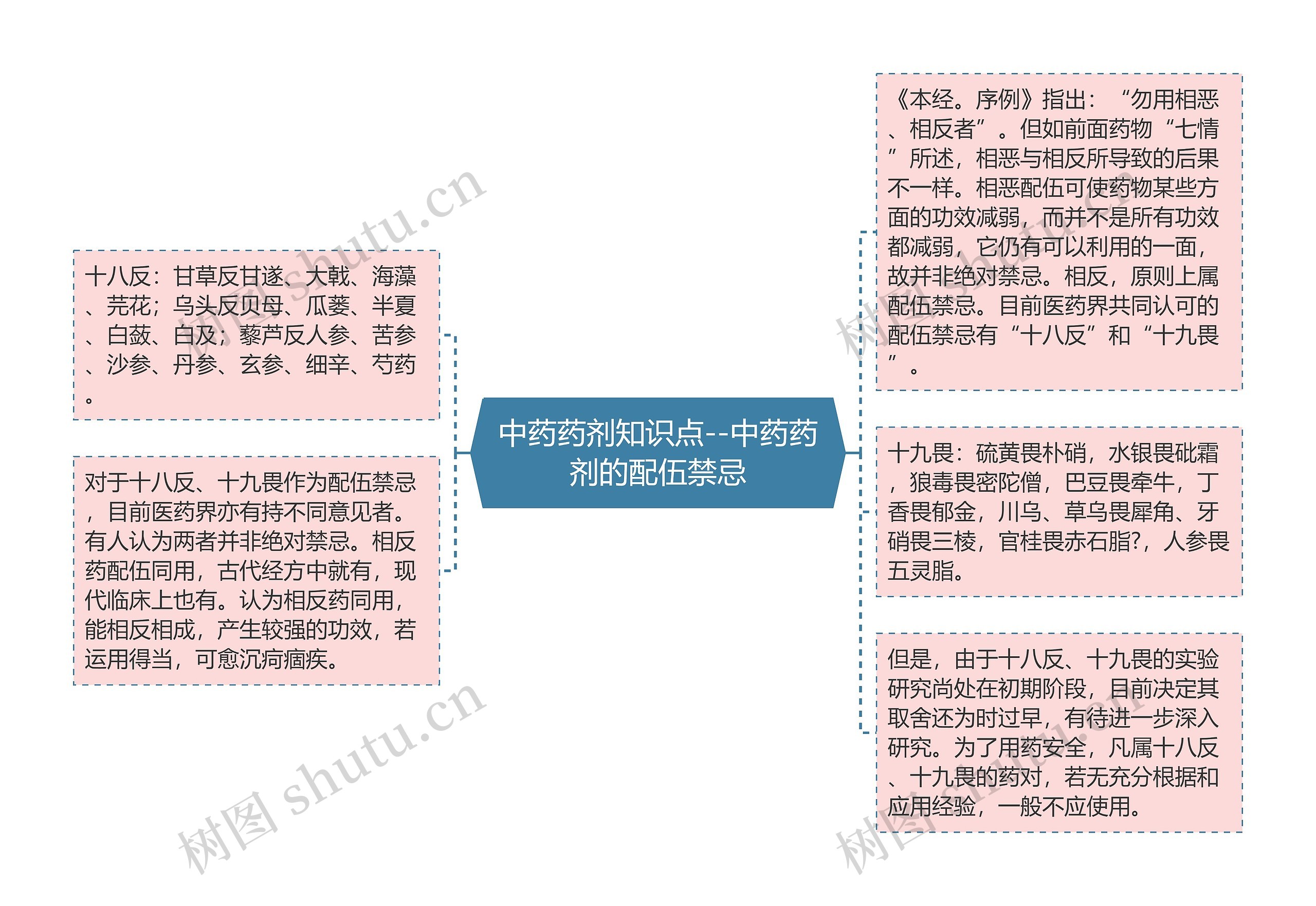 中药药剂知识点--中药药剂的配伍禁忌思维导图