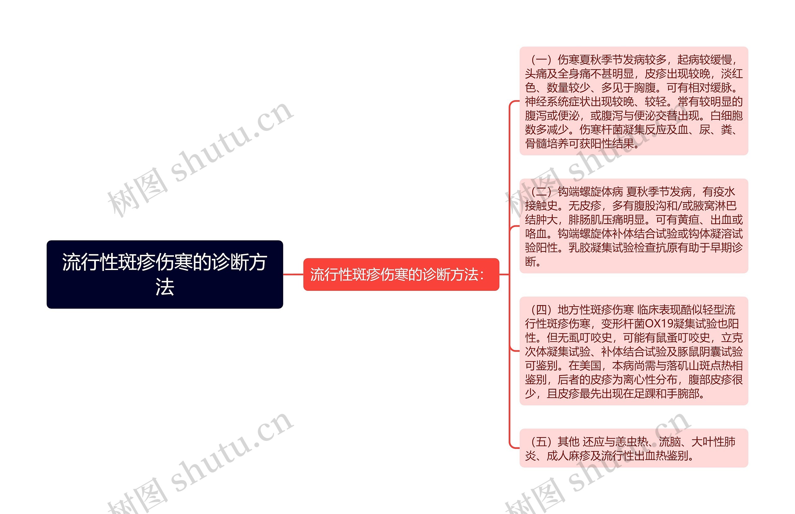 流行性斑疹伤寒的诊断方法思维导图