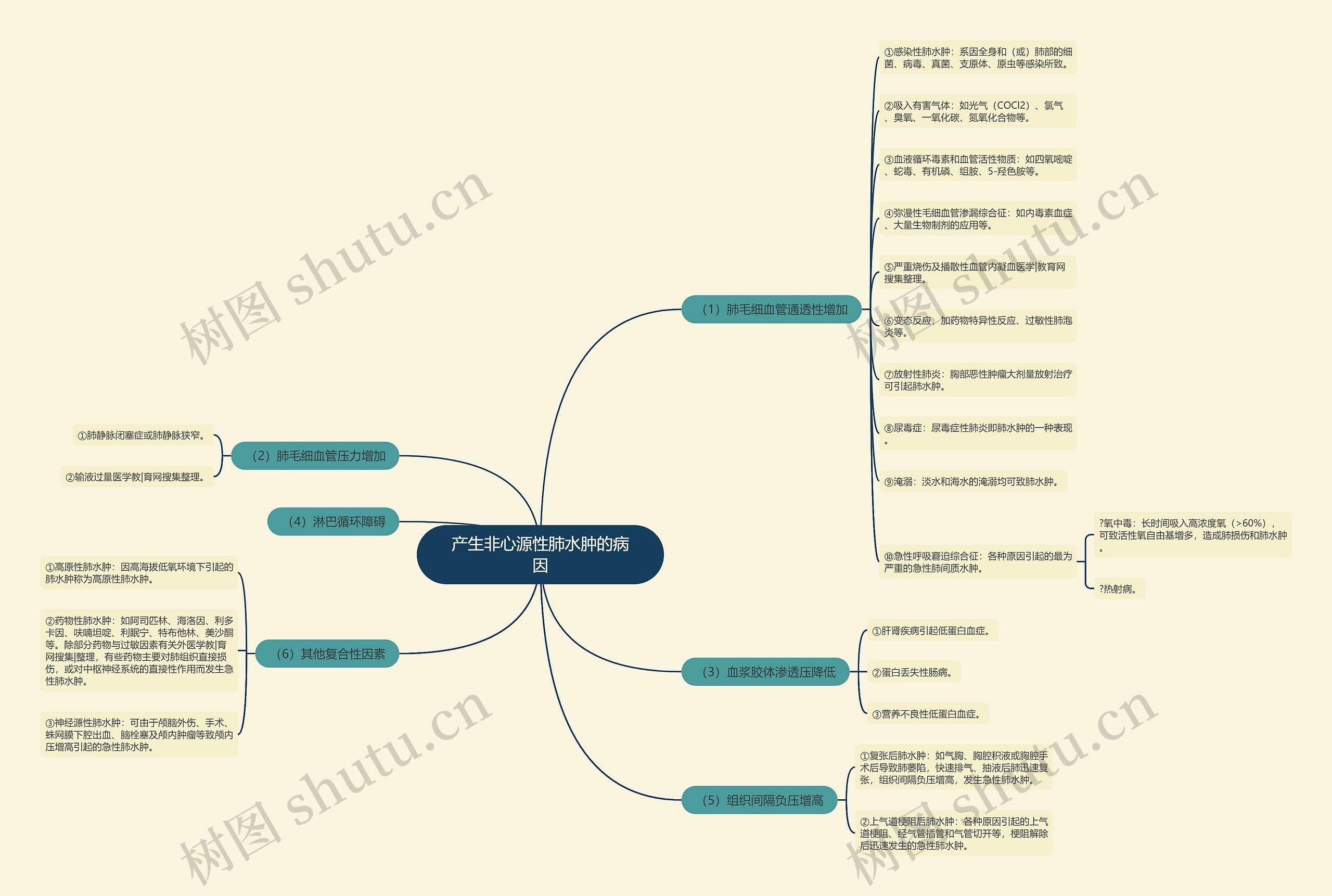 产生非心源性肺水肿的病因思维导图