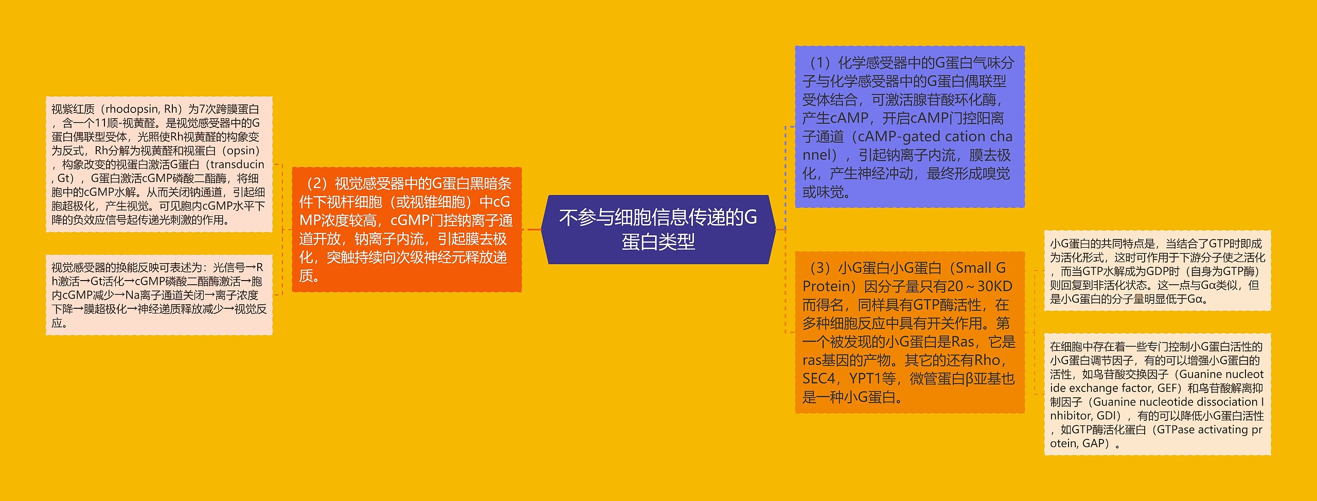 不参与细胞信息传递的G蛋白类型 不参与细胞信息传递的G蛋白类型