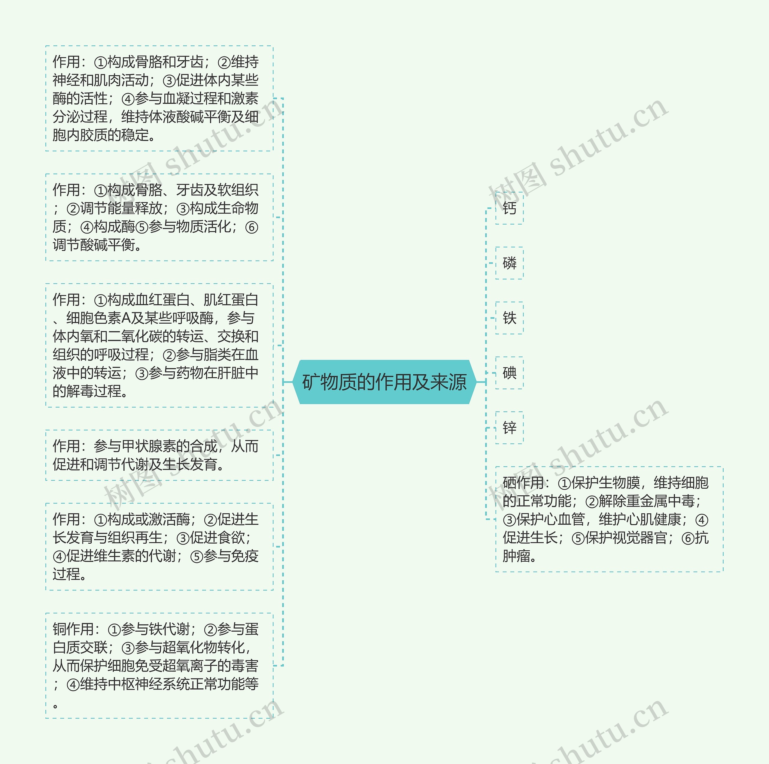 矿物质的作用及来源