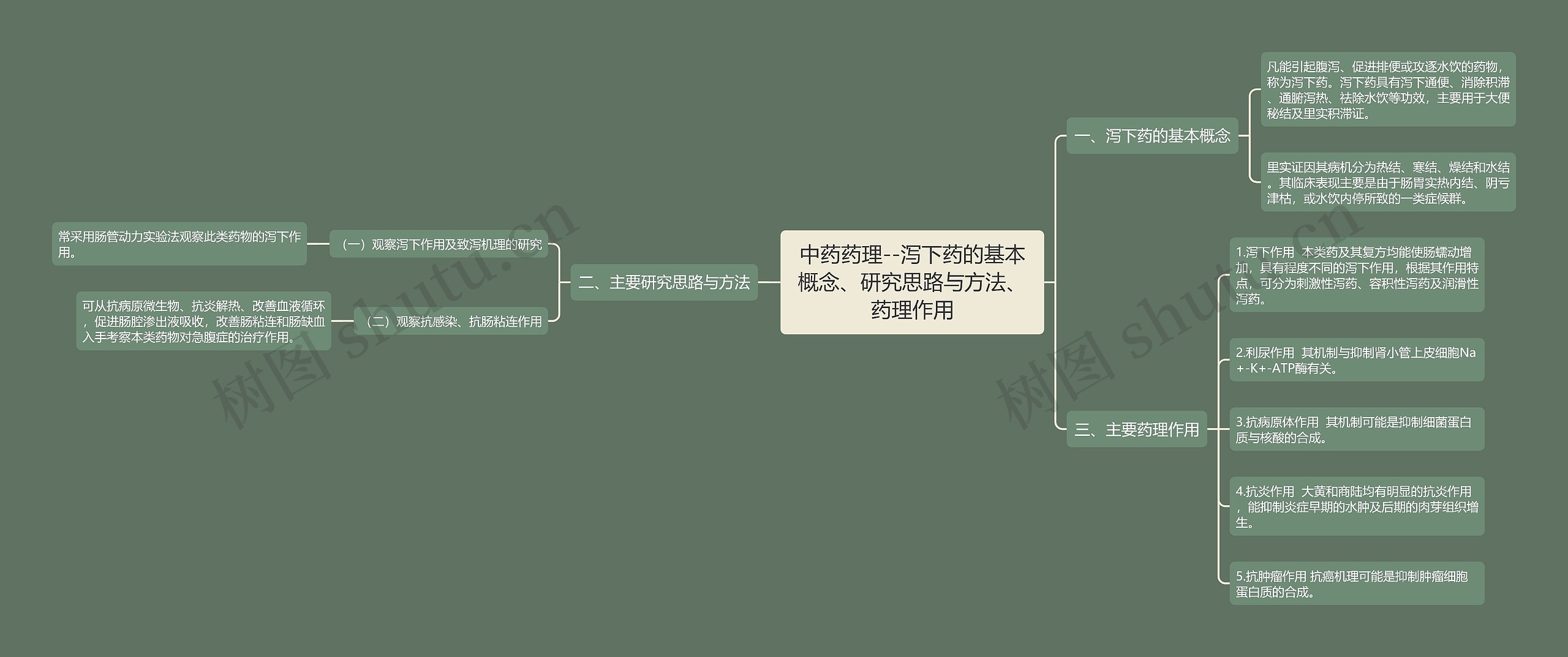 中药药理--泻下药的基本概念、研究思路与方法、药理作用