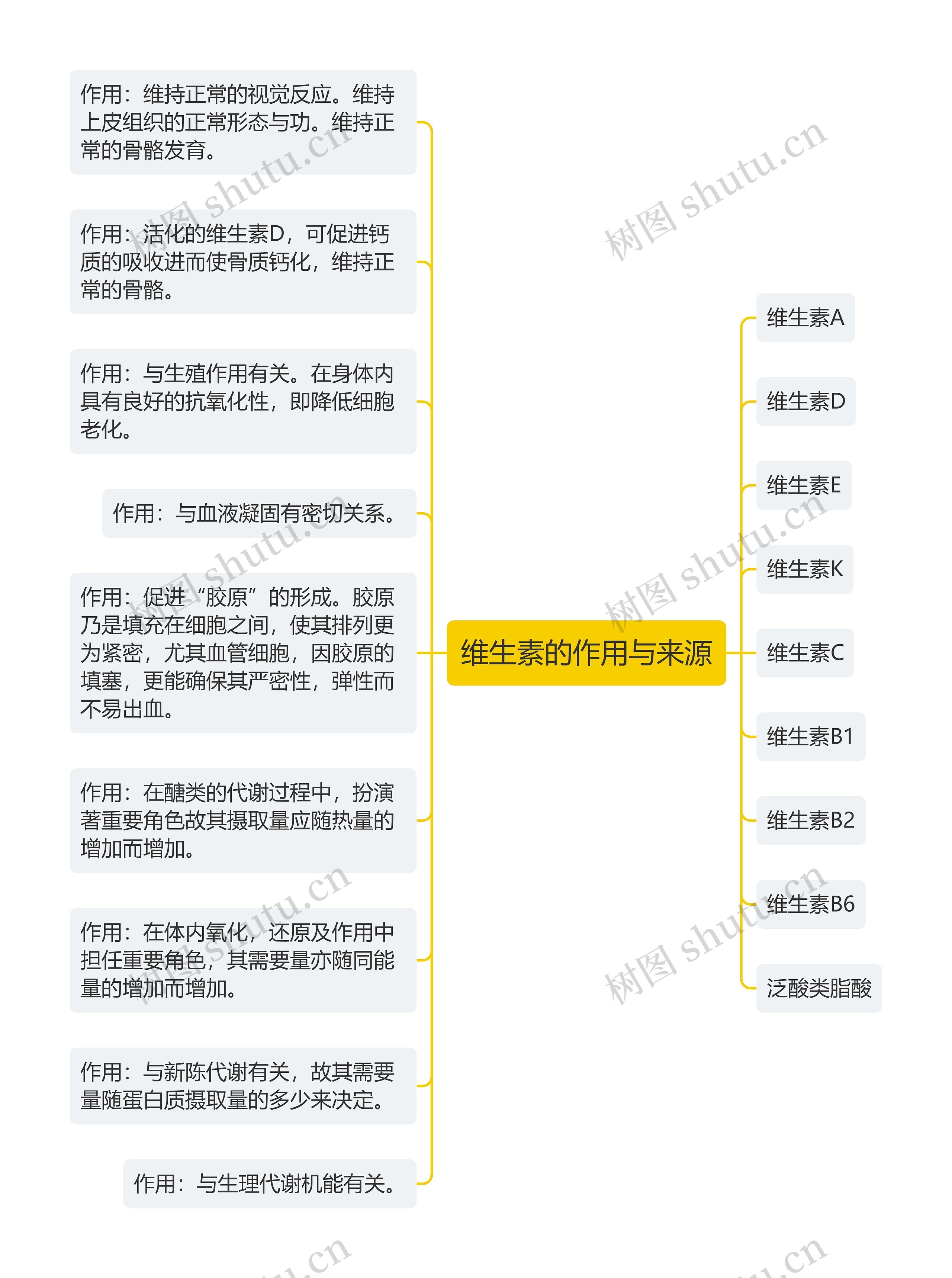 维生素的作用与来源