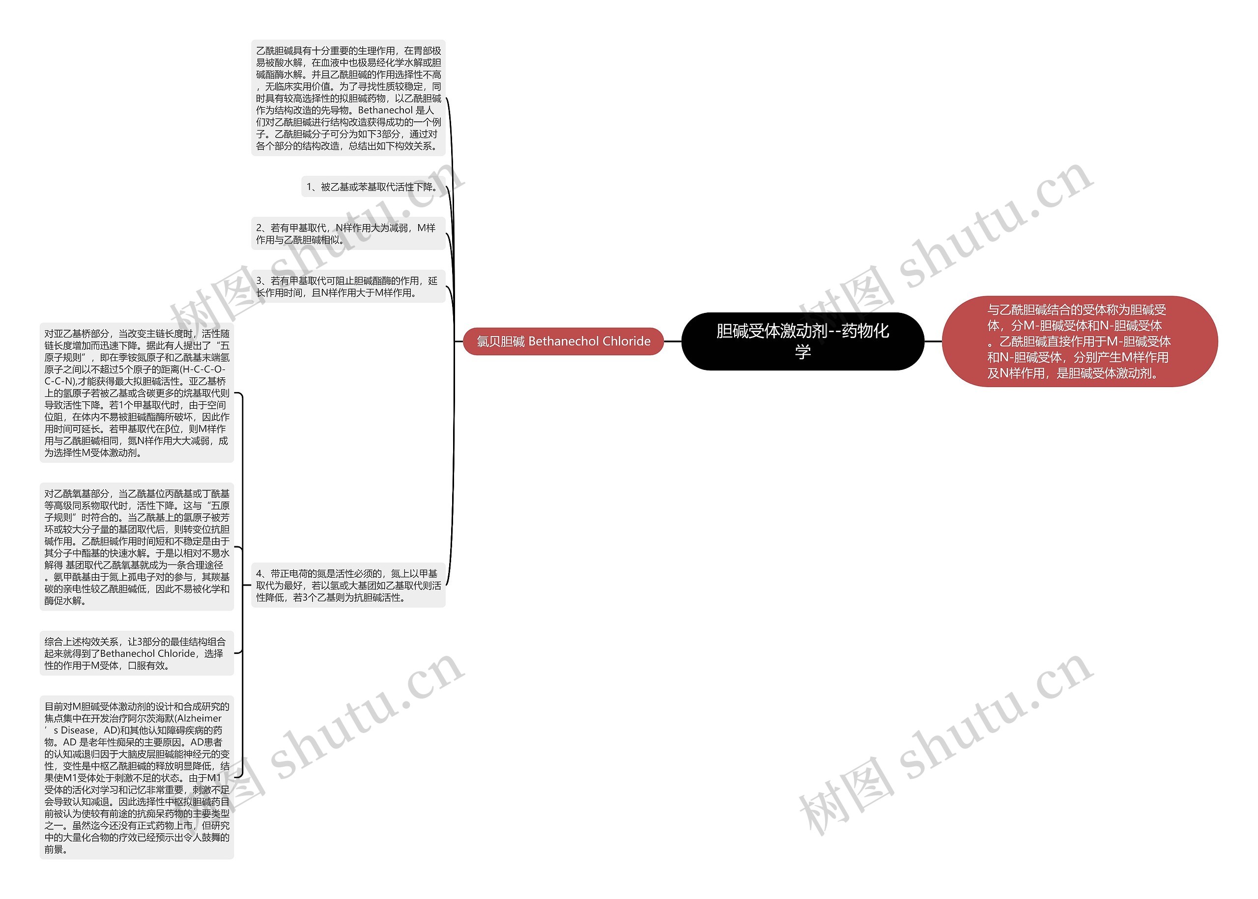 胆碱受体激动剂--药物化学思维导图