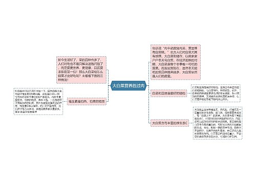 大白菜营养胜过肉