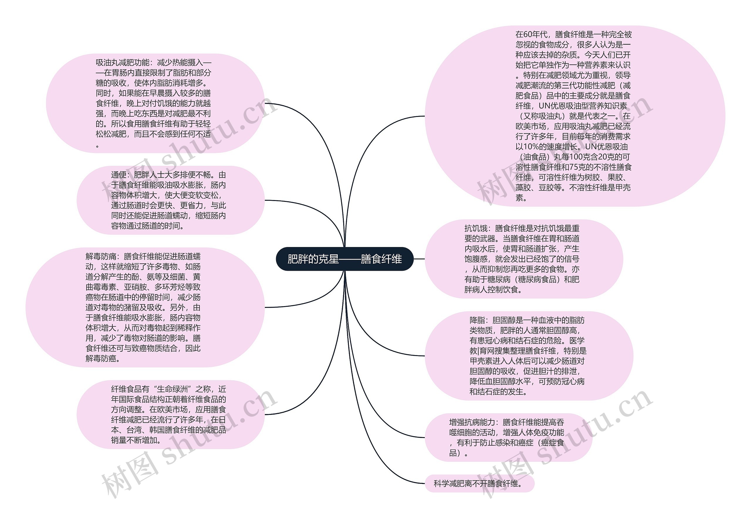 肥胖的克星——膳食纤维思维导图